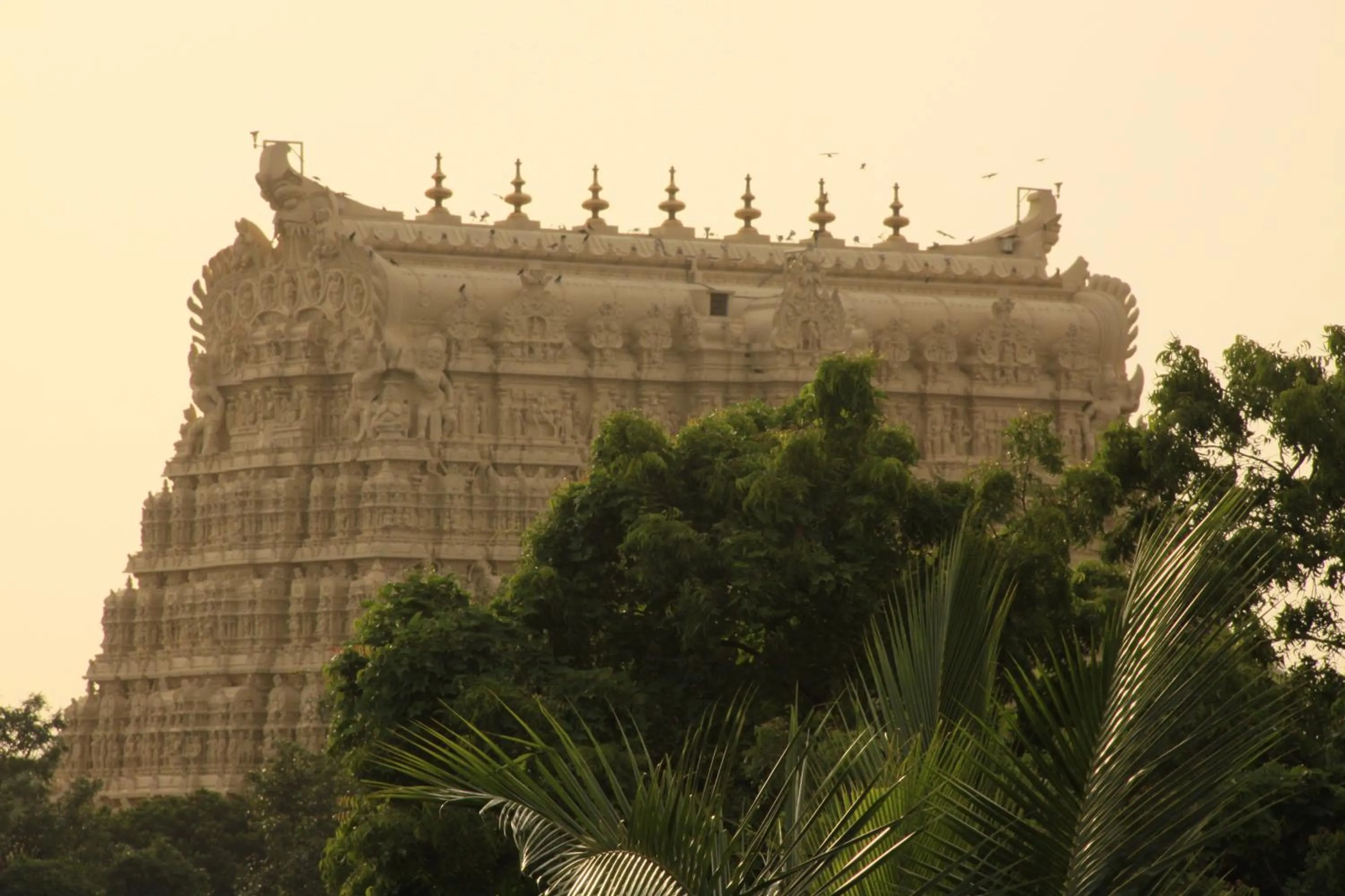 Nearby landmark in Hotel Rajadhani