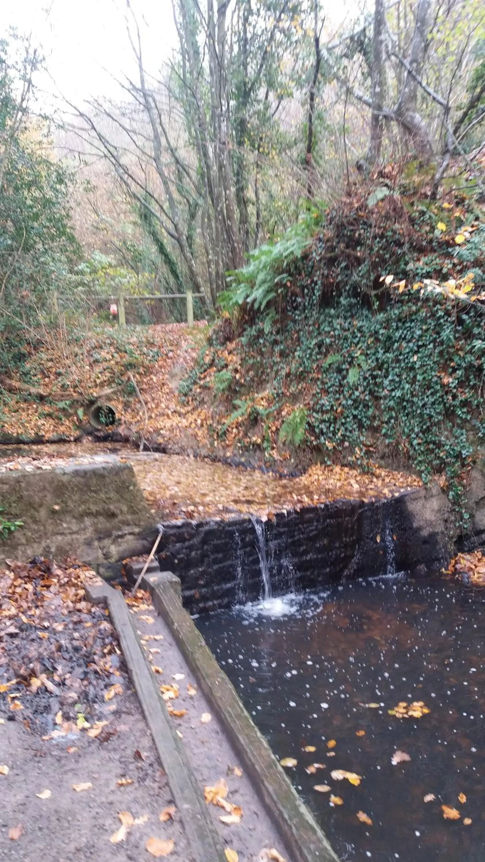 Nearby landmark in Jo Masson