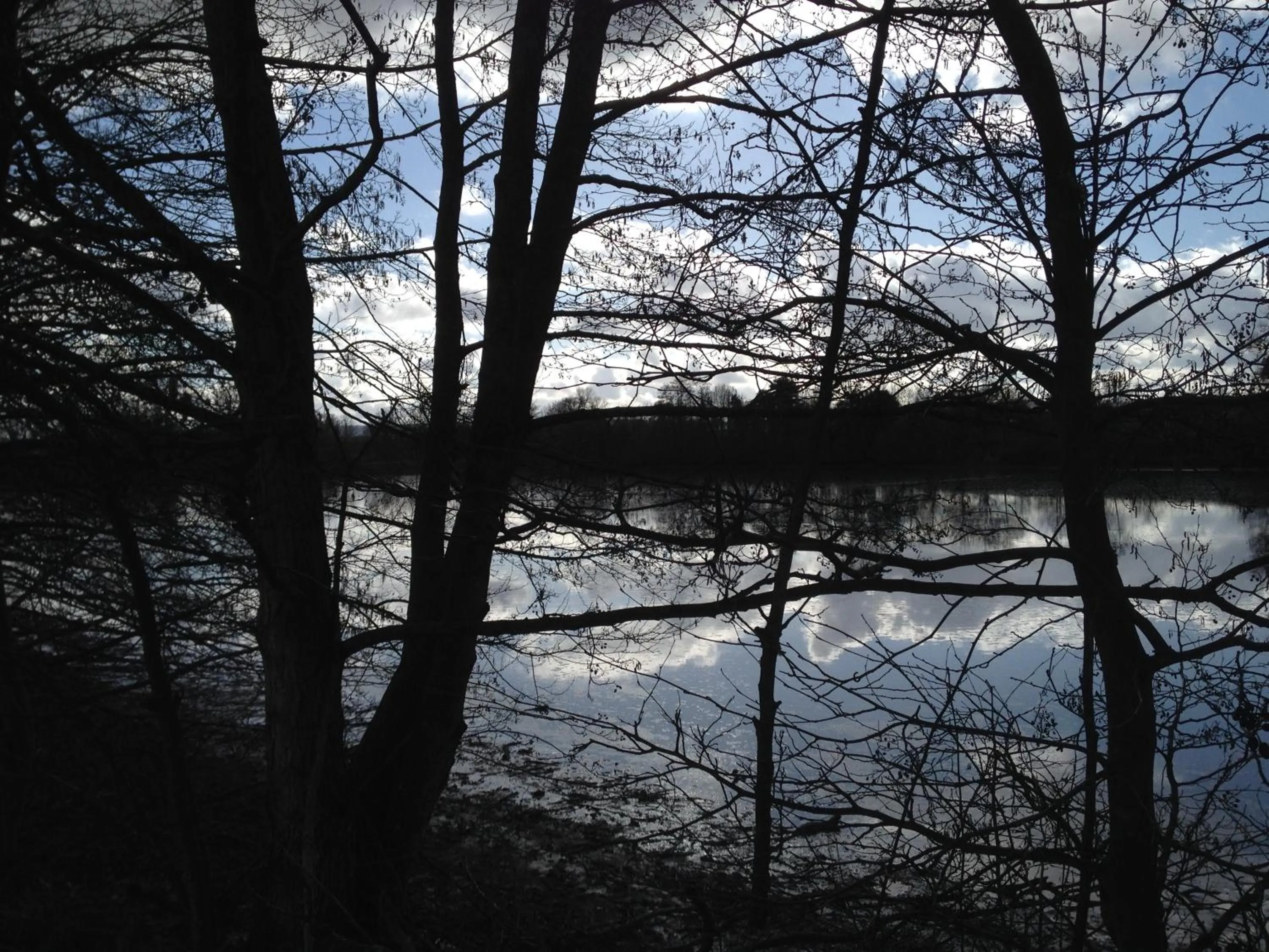 Garden in Château de SURY