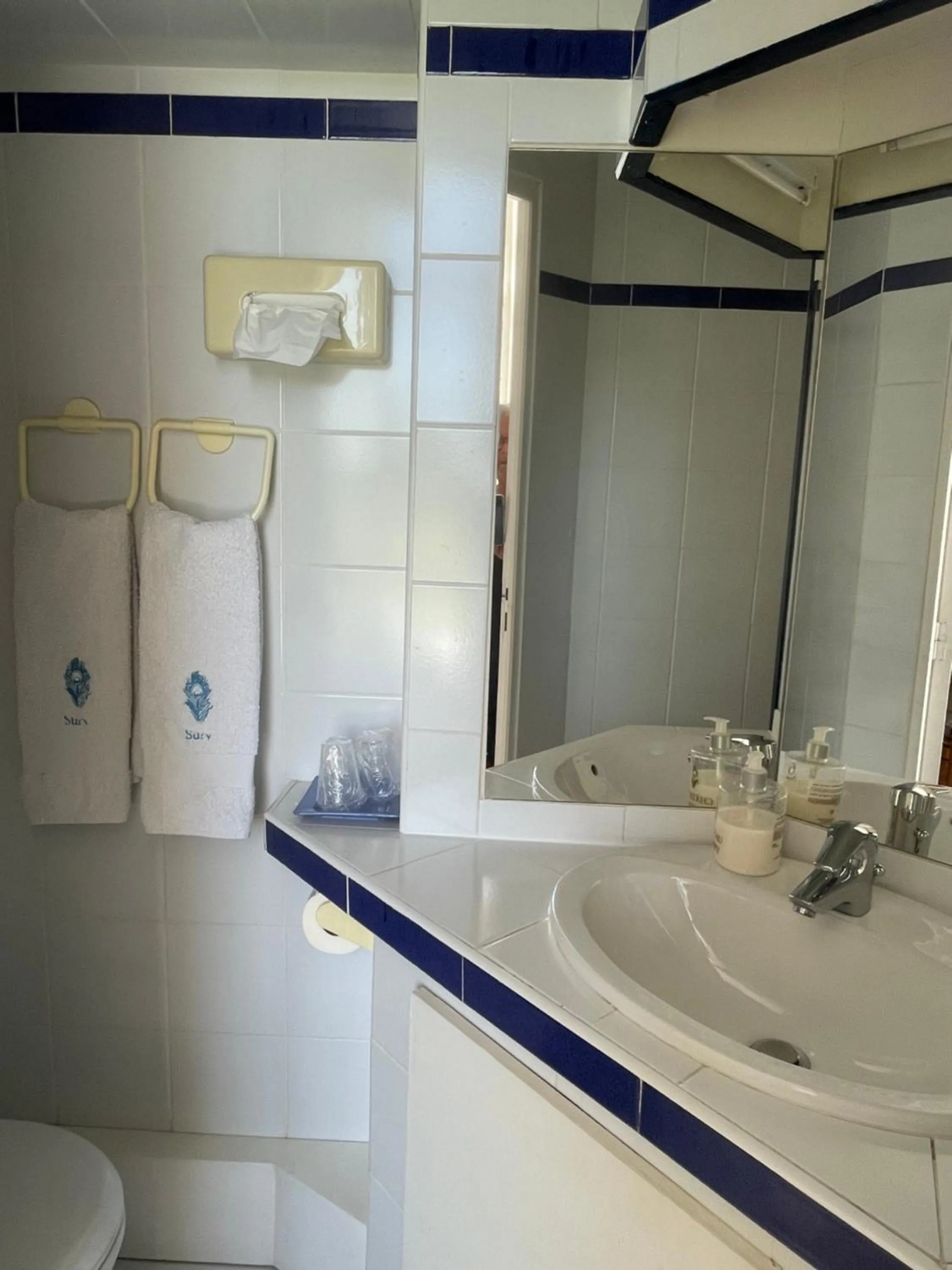 Bathroom in Château de SURY