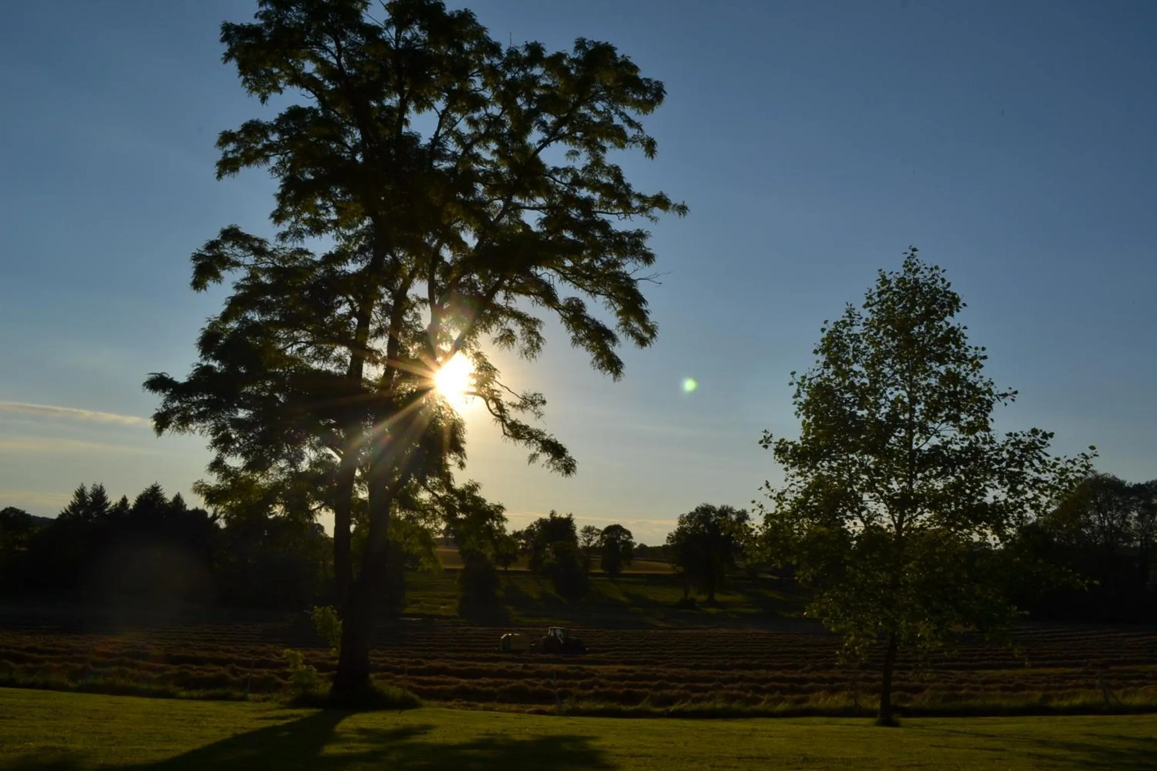 Garden in Château de SURY