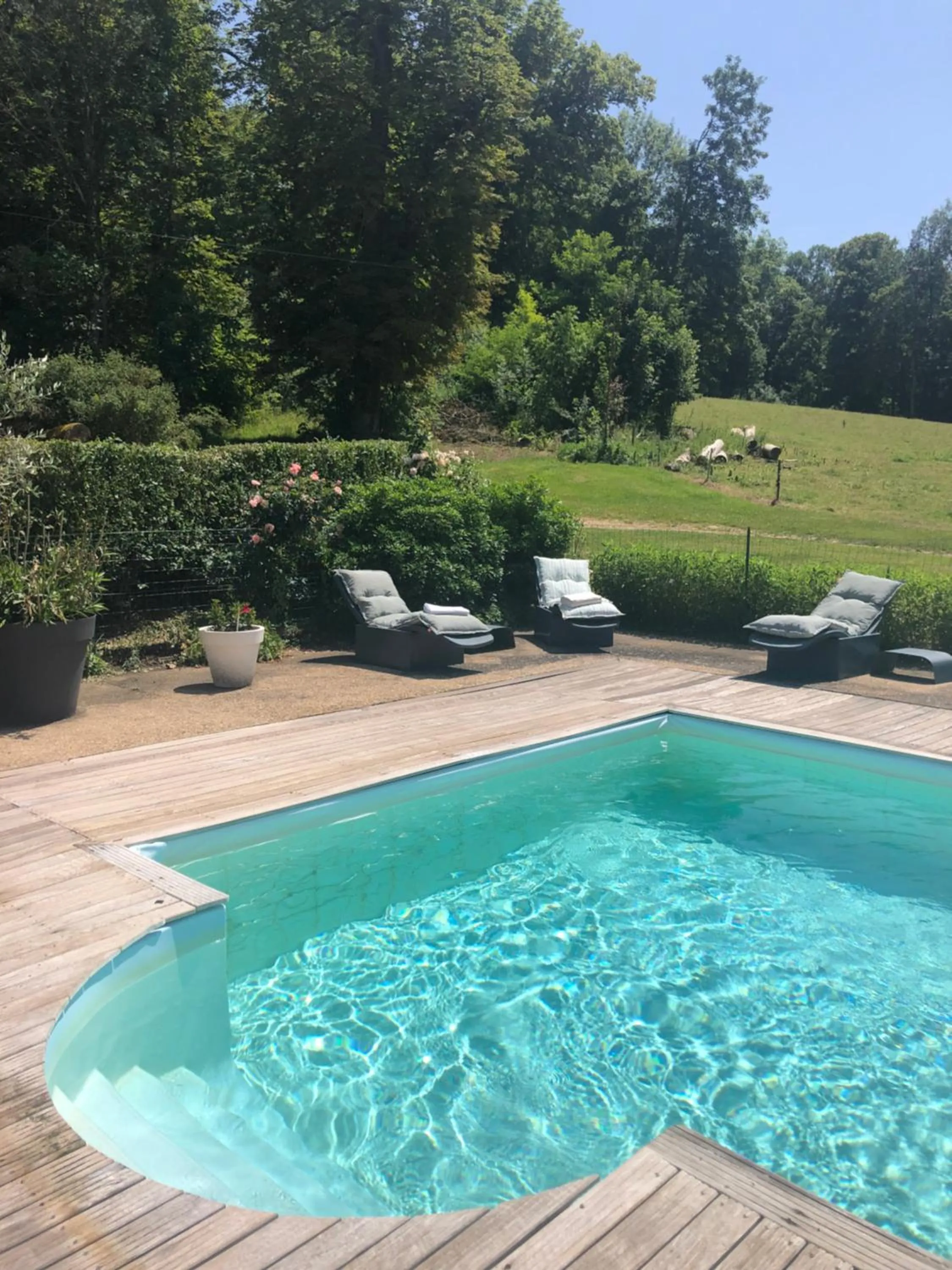 Swimming pool in Château de SURY