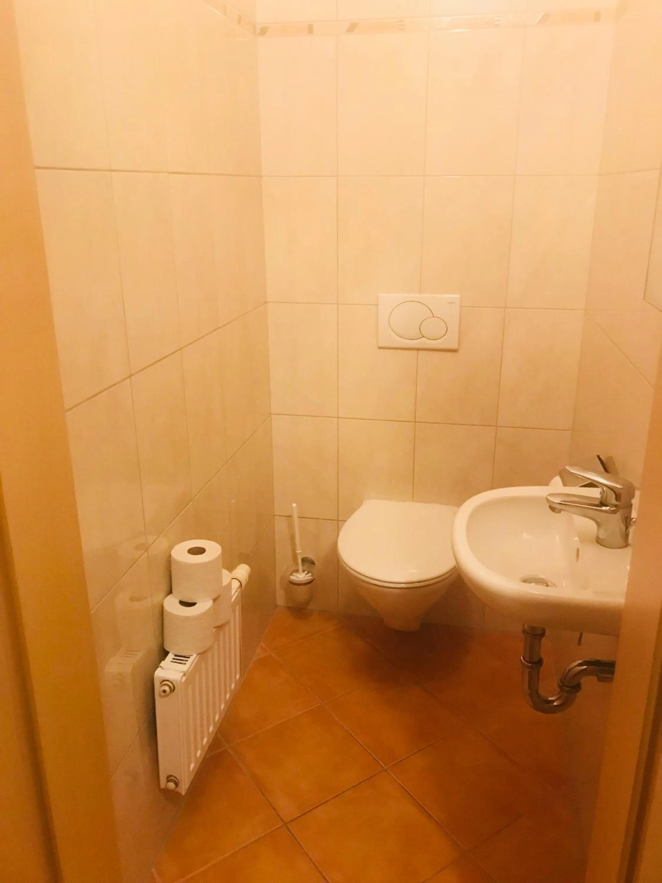 Bathroom in Apartment Sonnblick