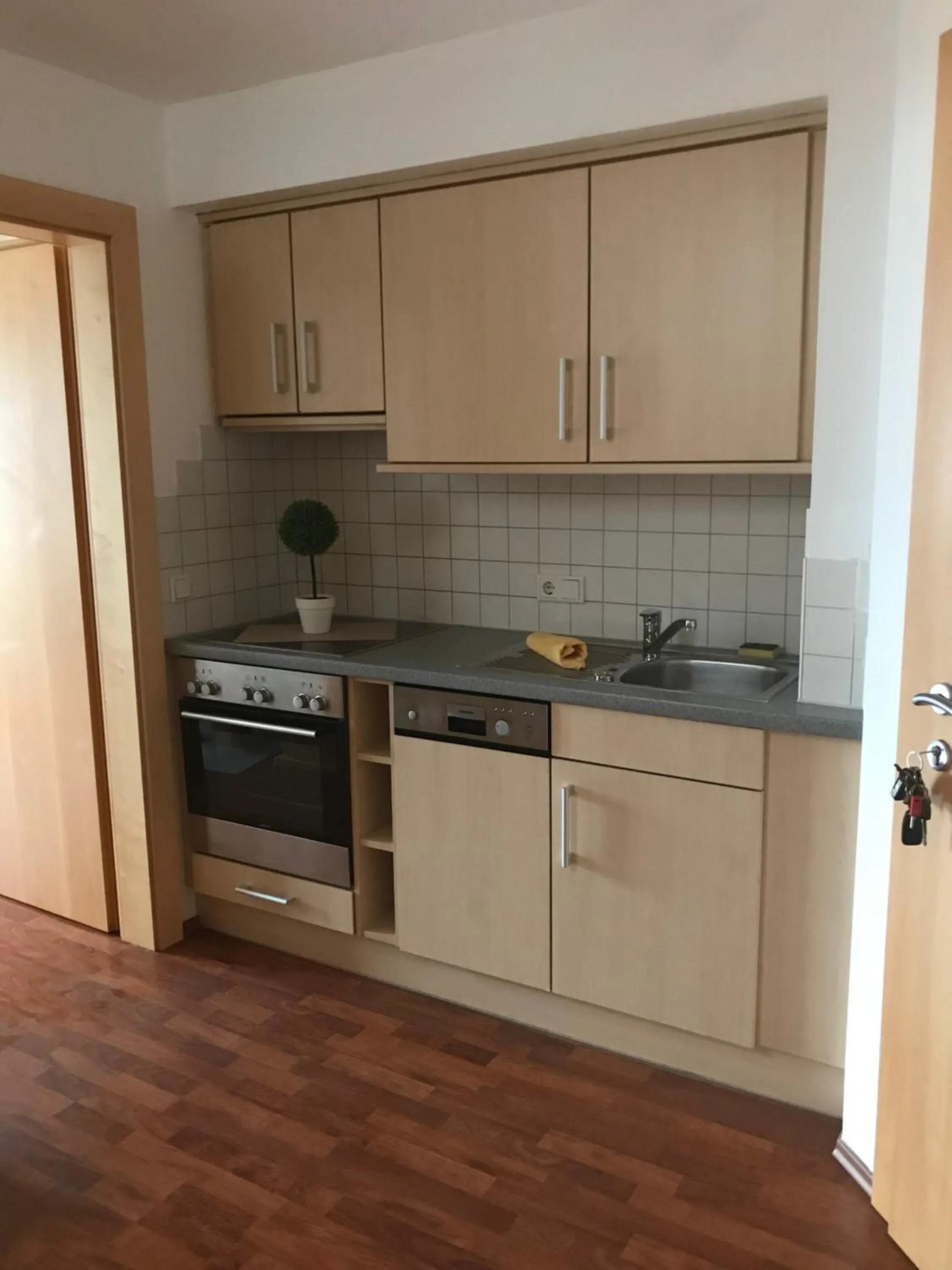 Kitchen or kitchenette in Apartment Sonnblick