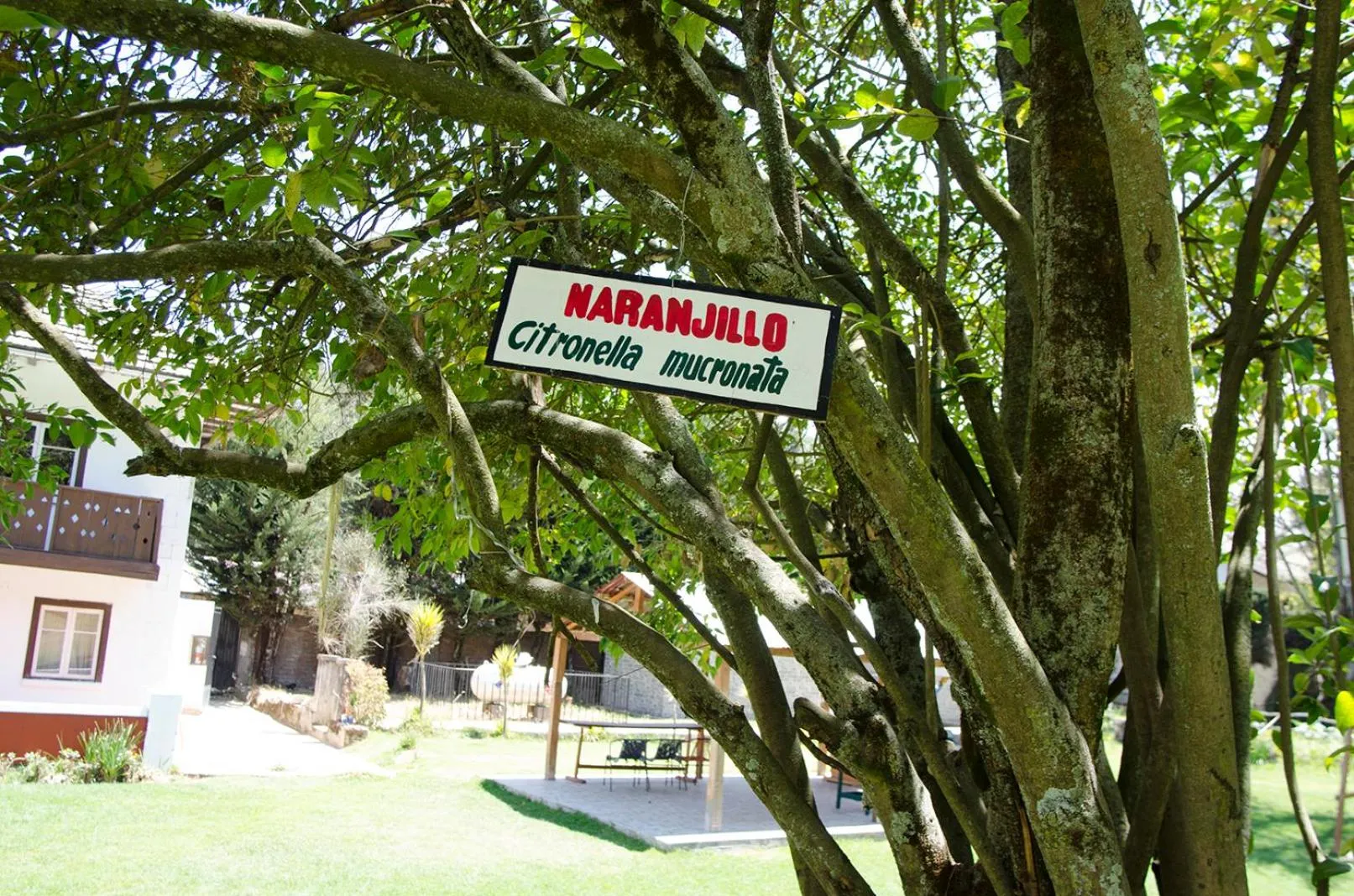 Garden in Centro Vacacional Huaychulo