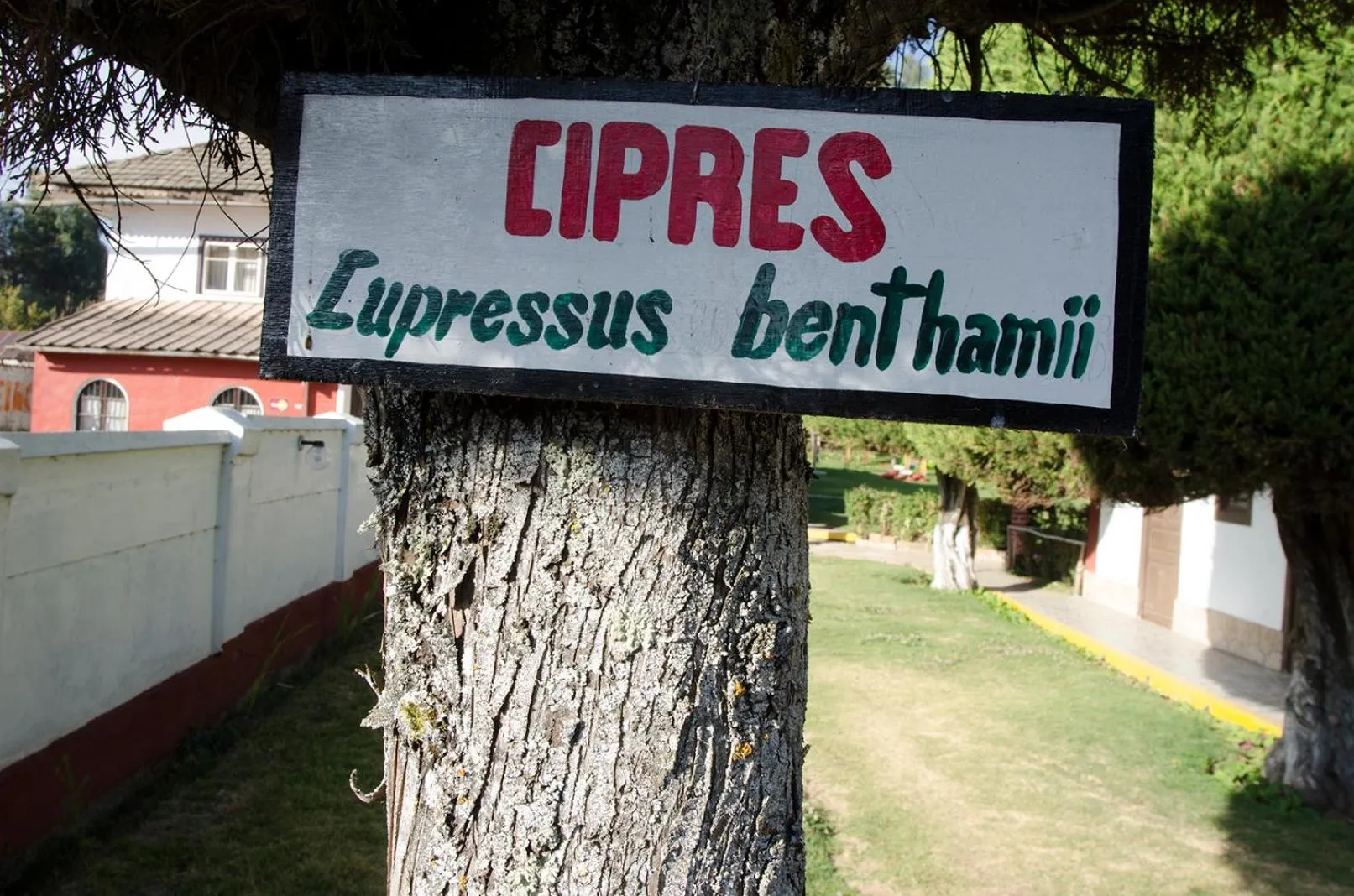 Natural landscape in Centro Vacacional Huaychulo