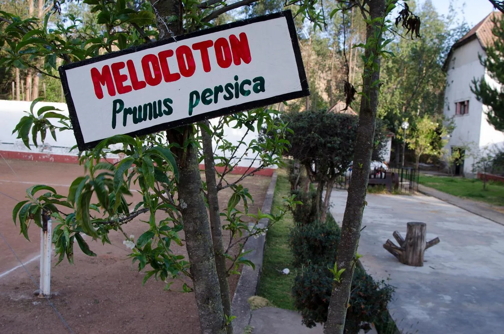 Natural landscape in Centro Vacacional Huaychulo