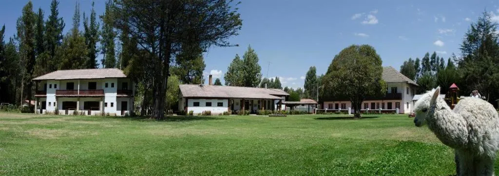 Pets in Centro Vacacional Huaychulo