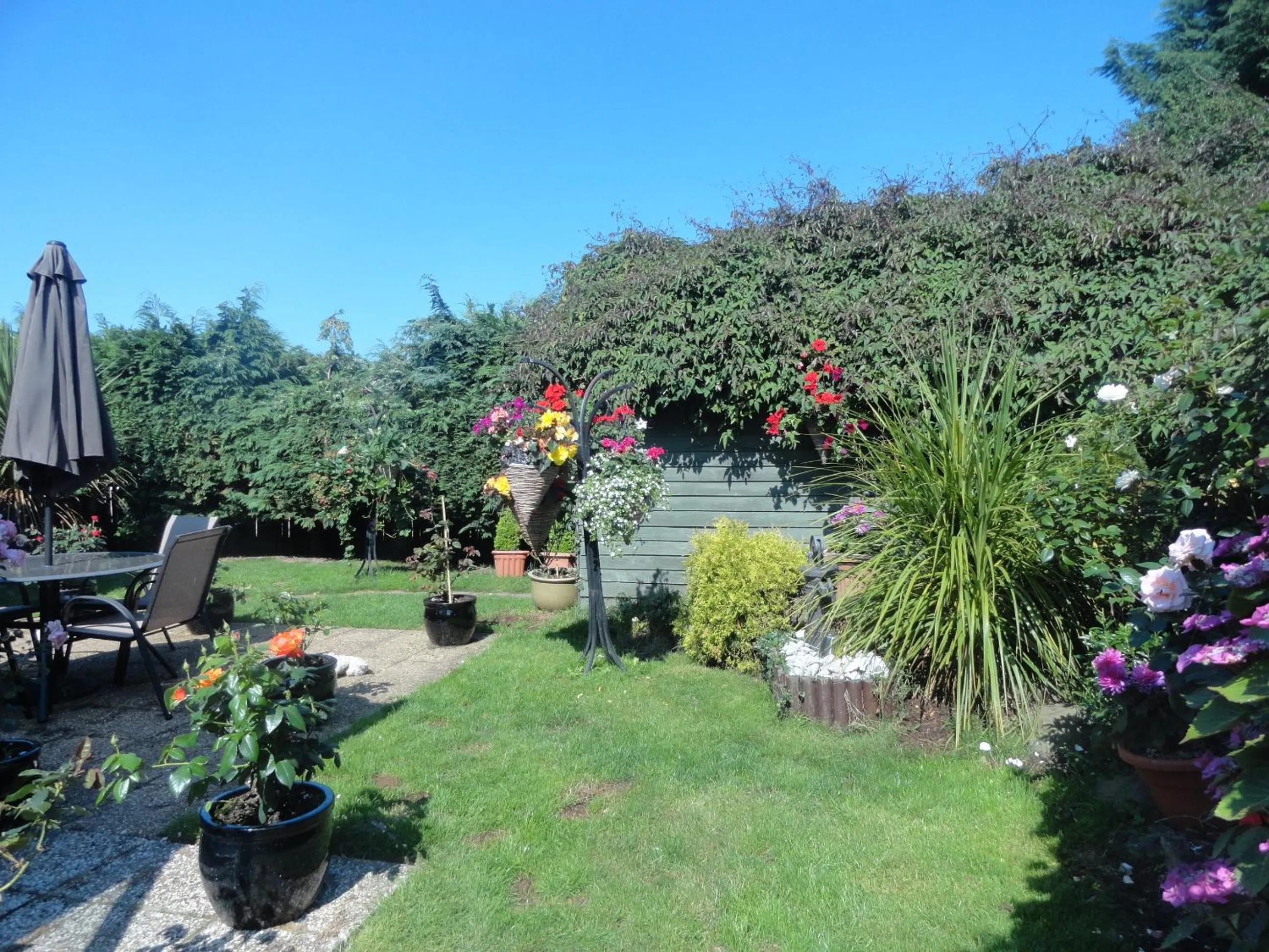 Garden in Orley House B&B