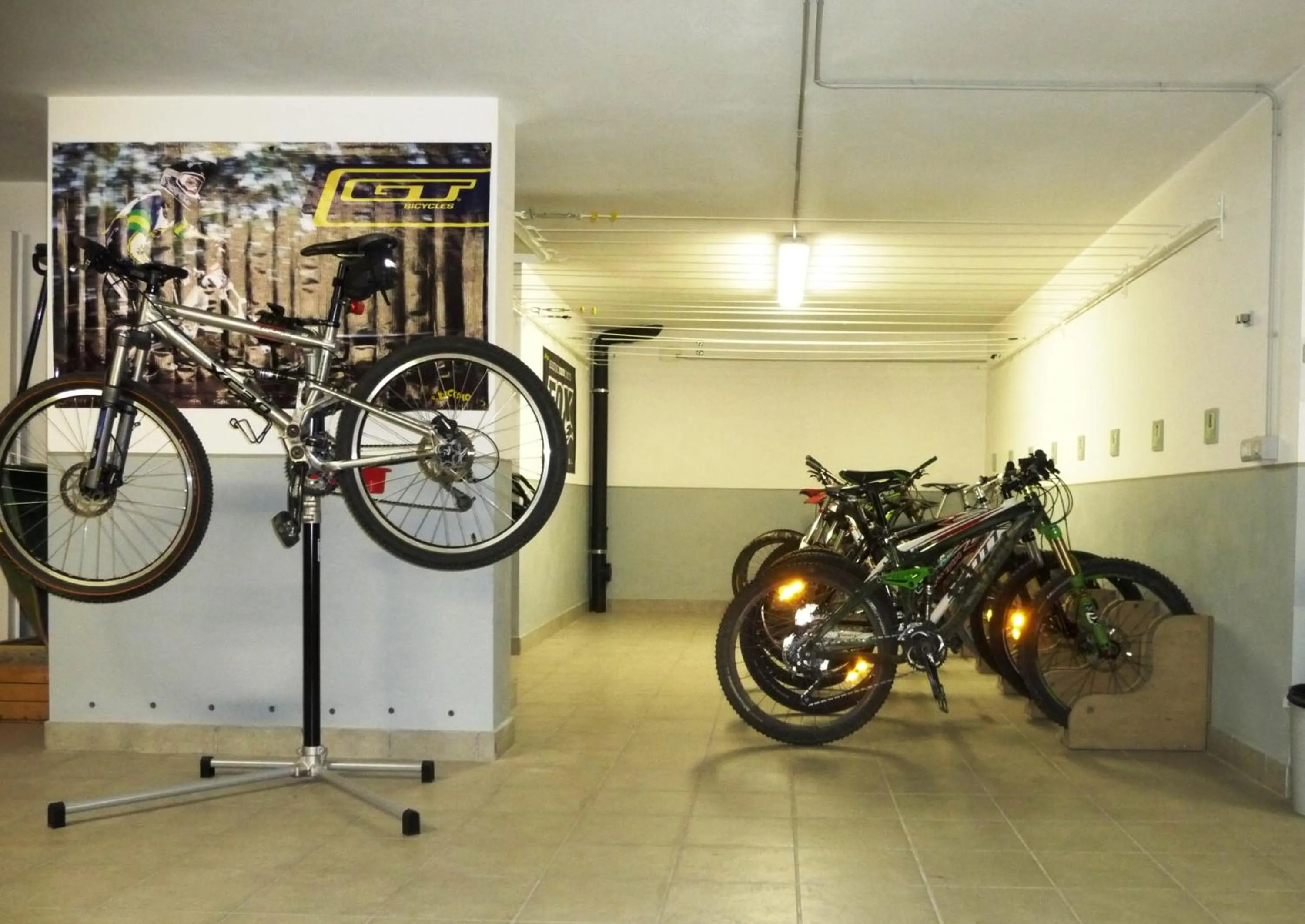 Area and facilities in Chalet Mottolino