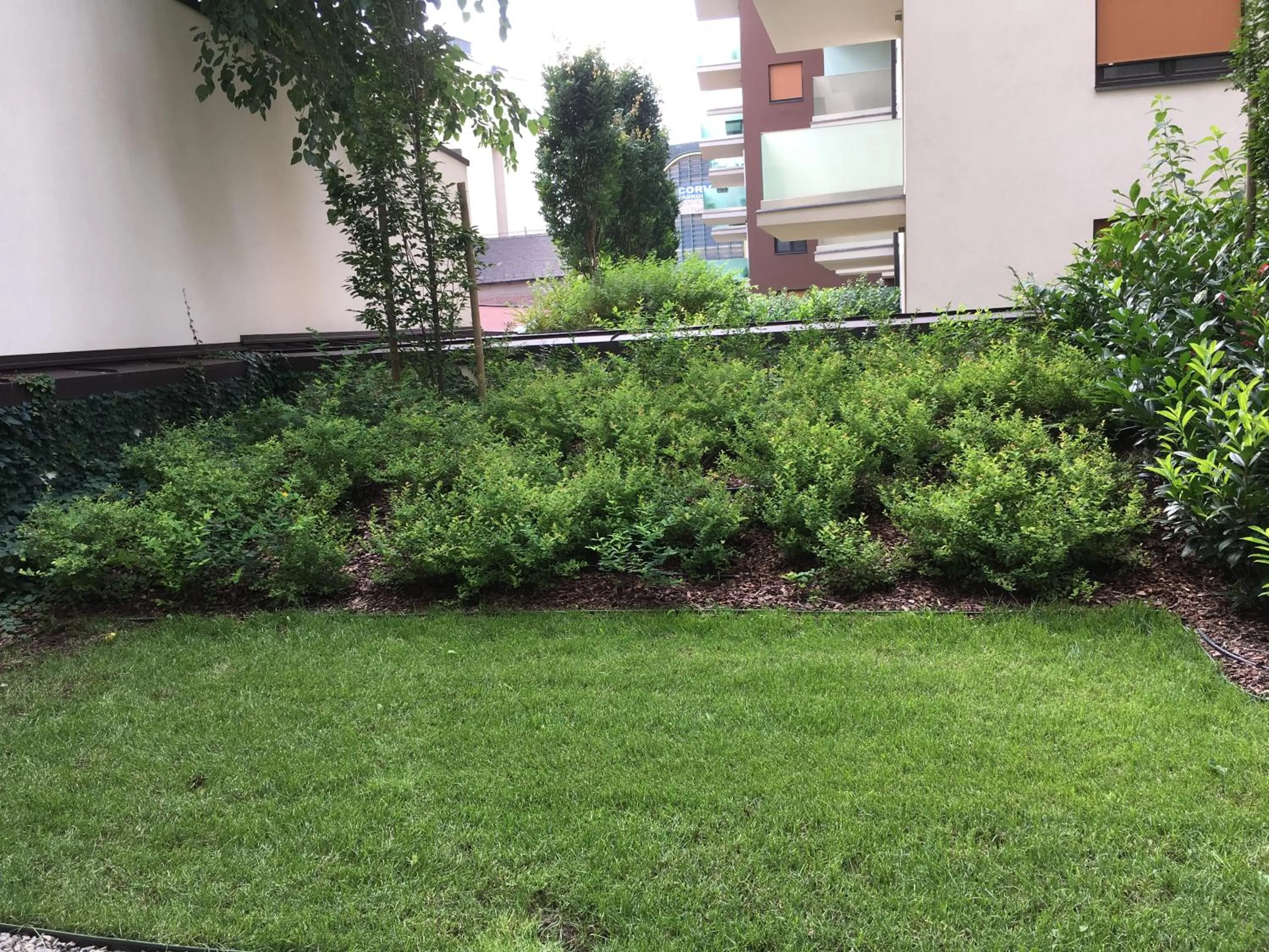 Garden view in Corvin Residence Apartments