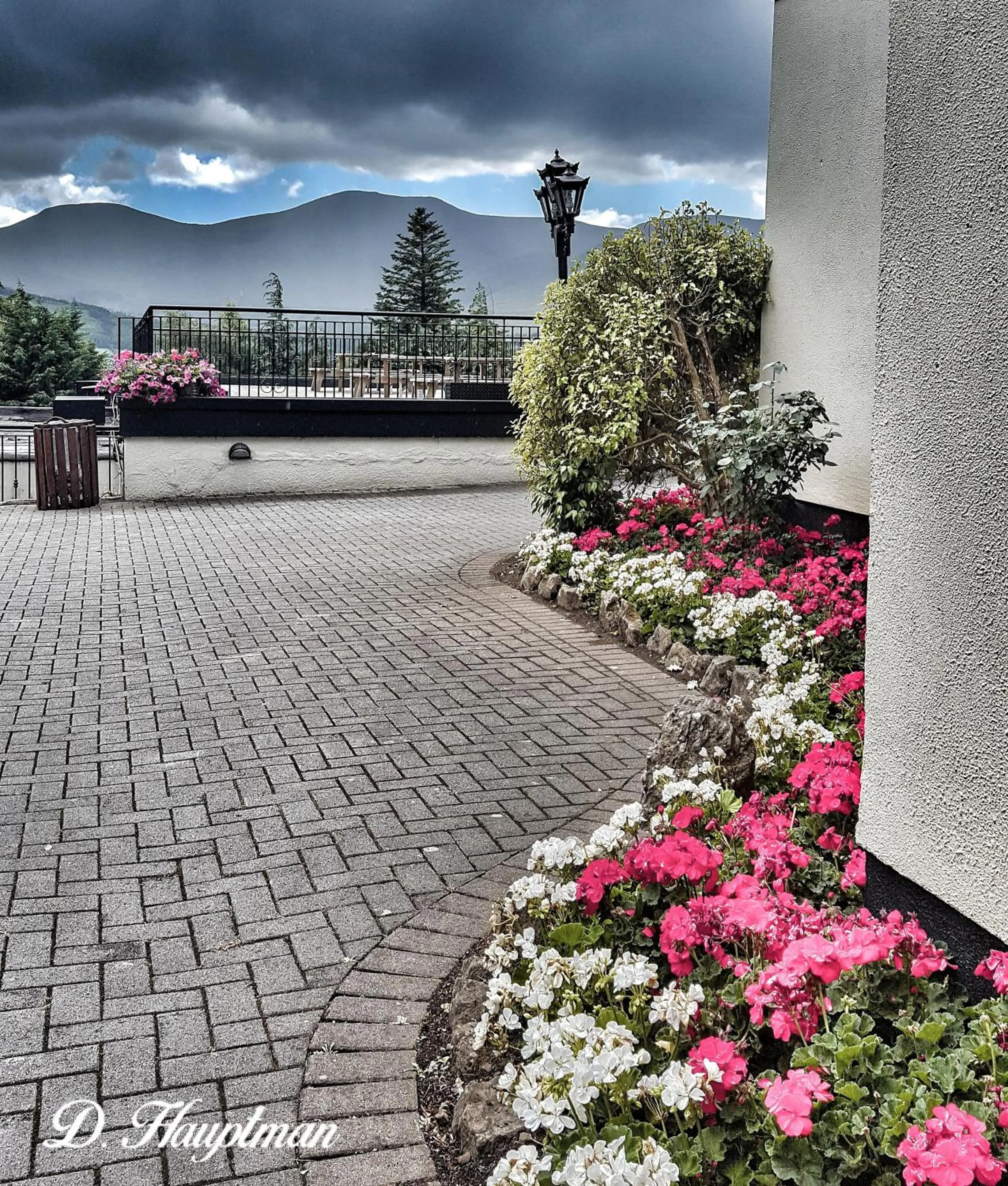 Property building in Aherlow House Hotel & Lodges