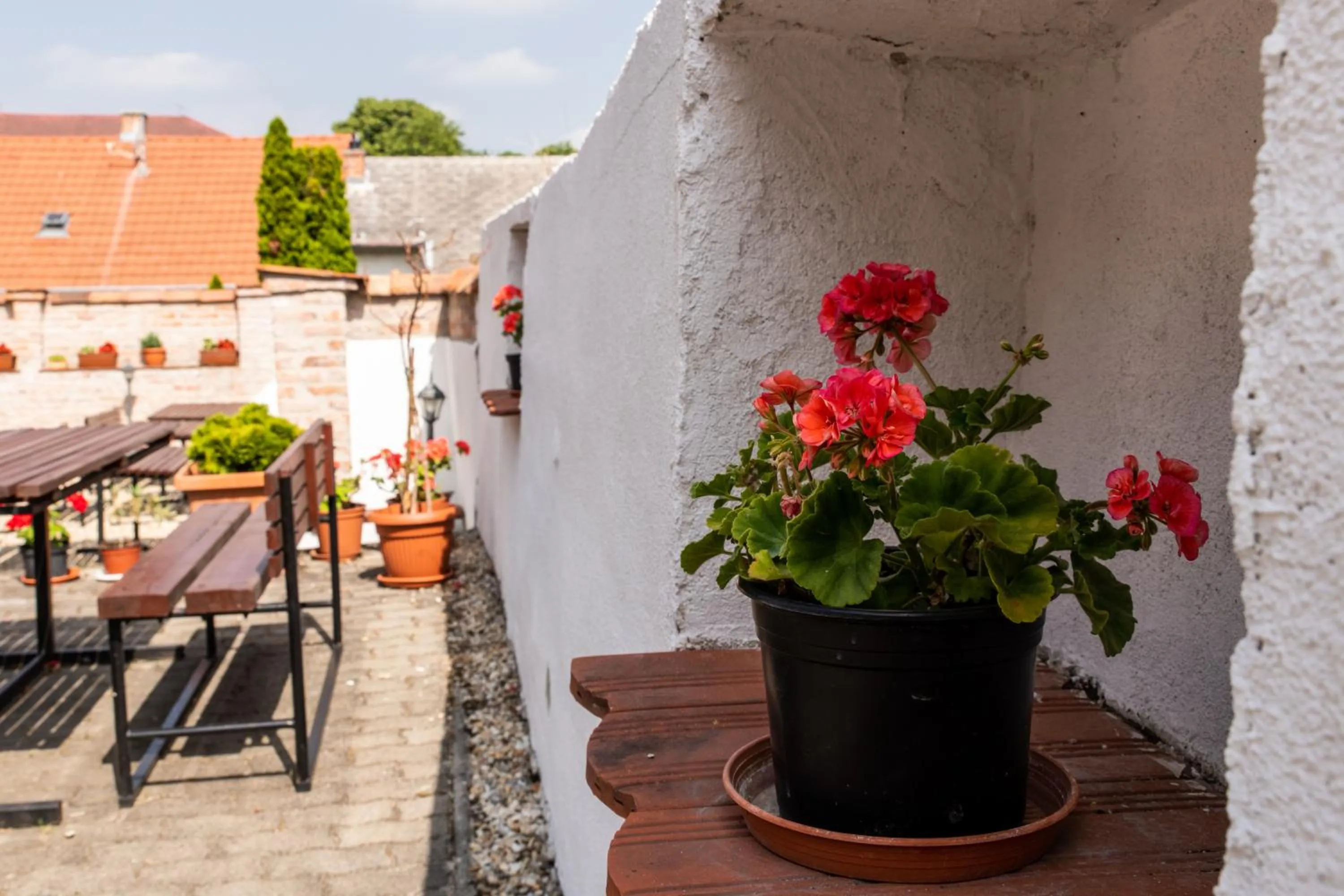 Property building in Fényes Vinorium