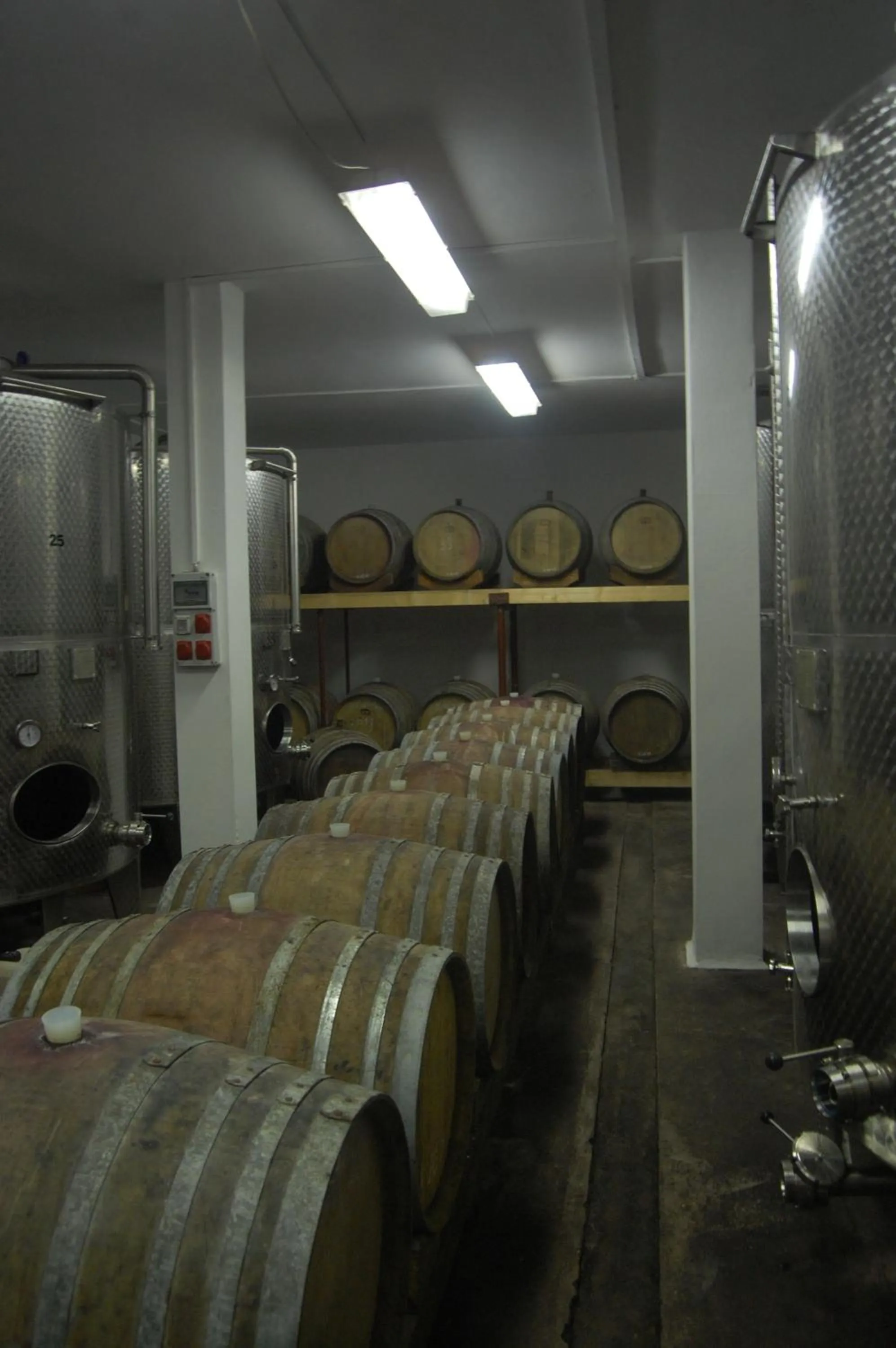 Entertainment in Fényes Vinorium