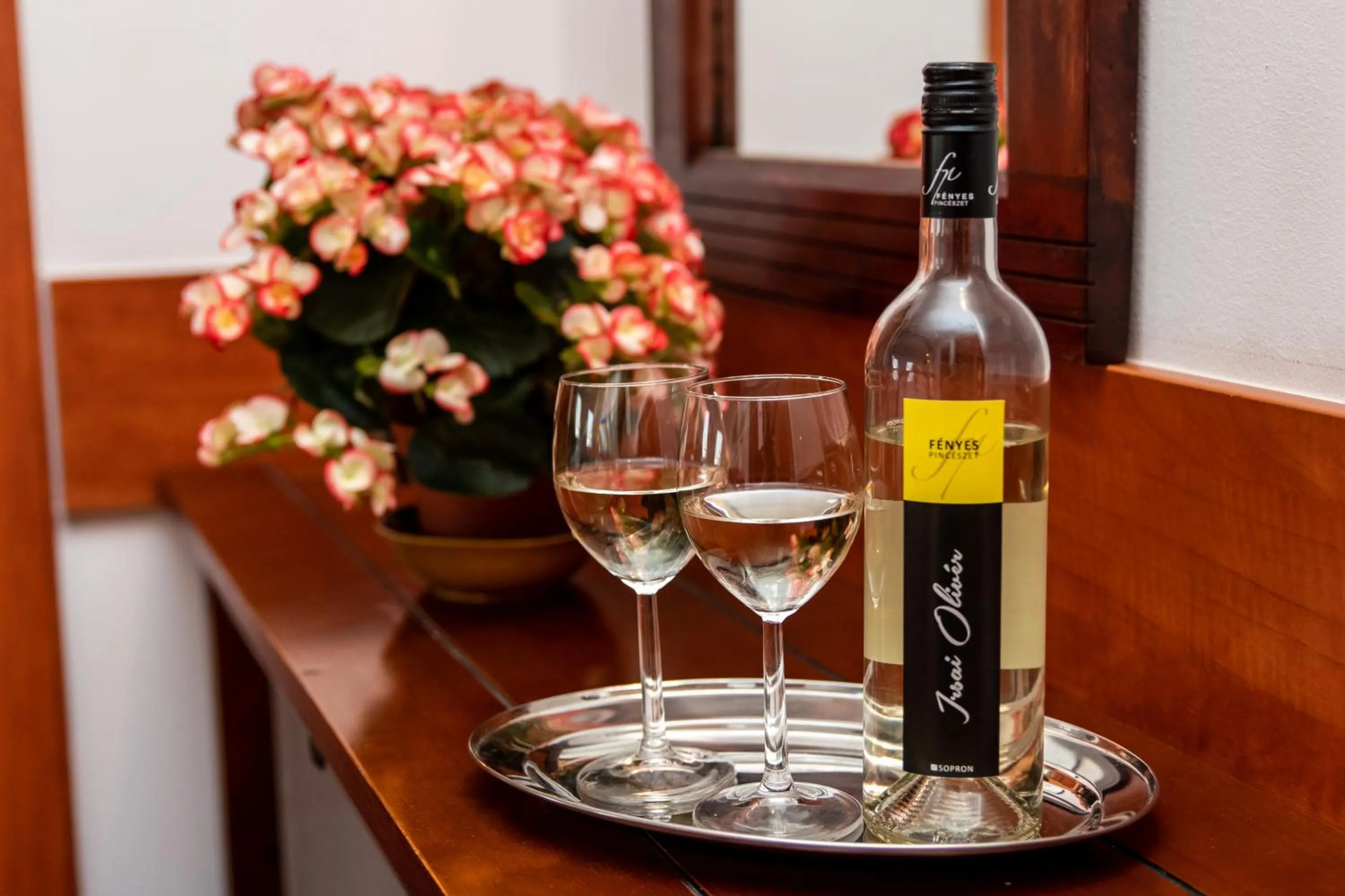 Property building in Fényes Vinorium