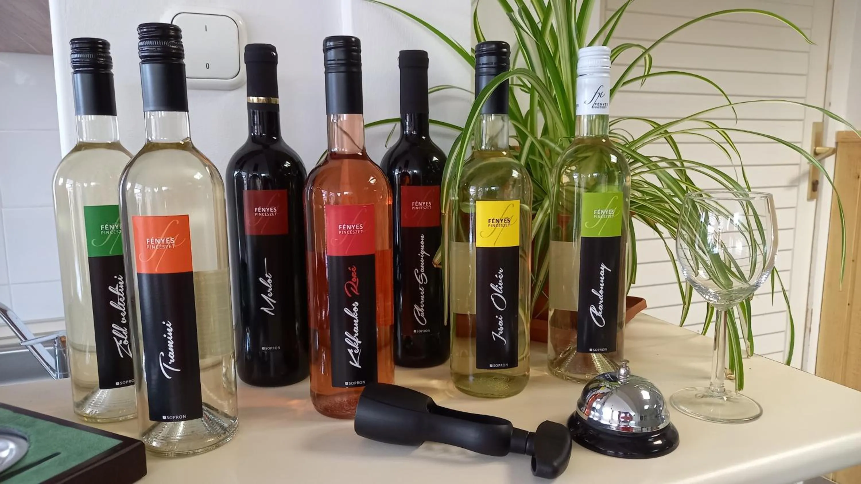 Property building in Fényes Vinorium