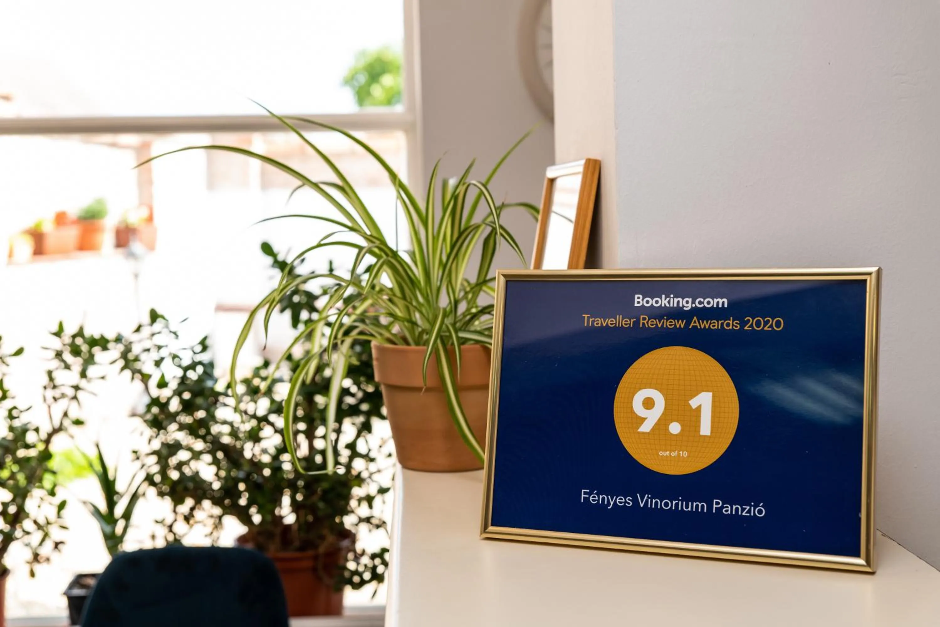 Property building in Fényes Vinorium