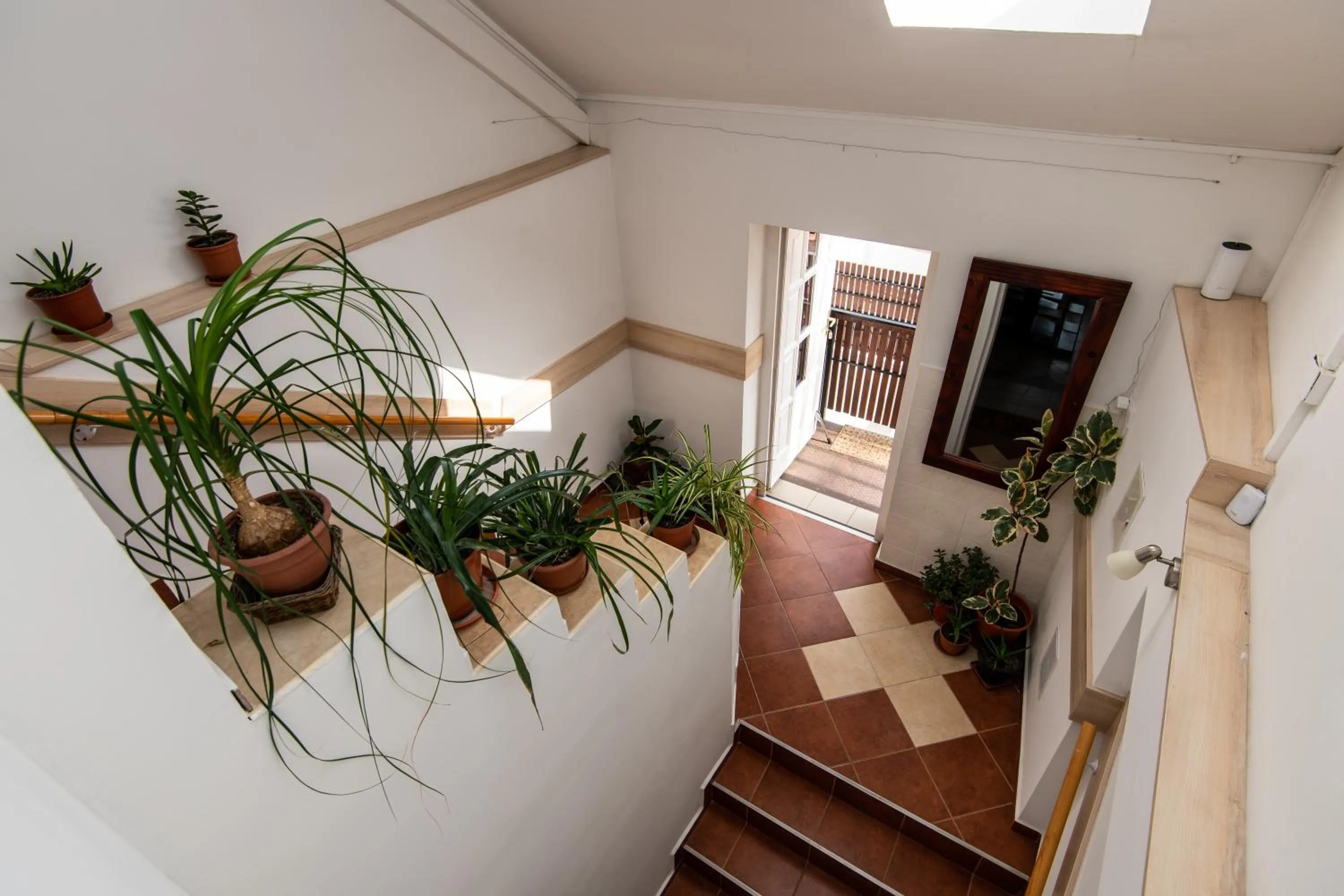 Property building in Fényes Vinorium