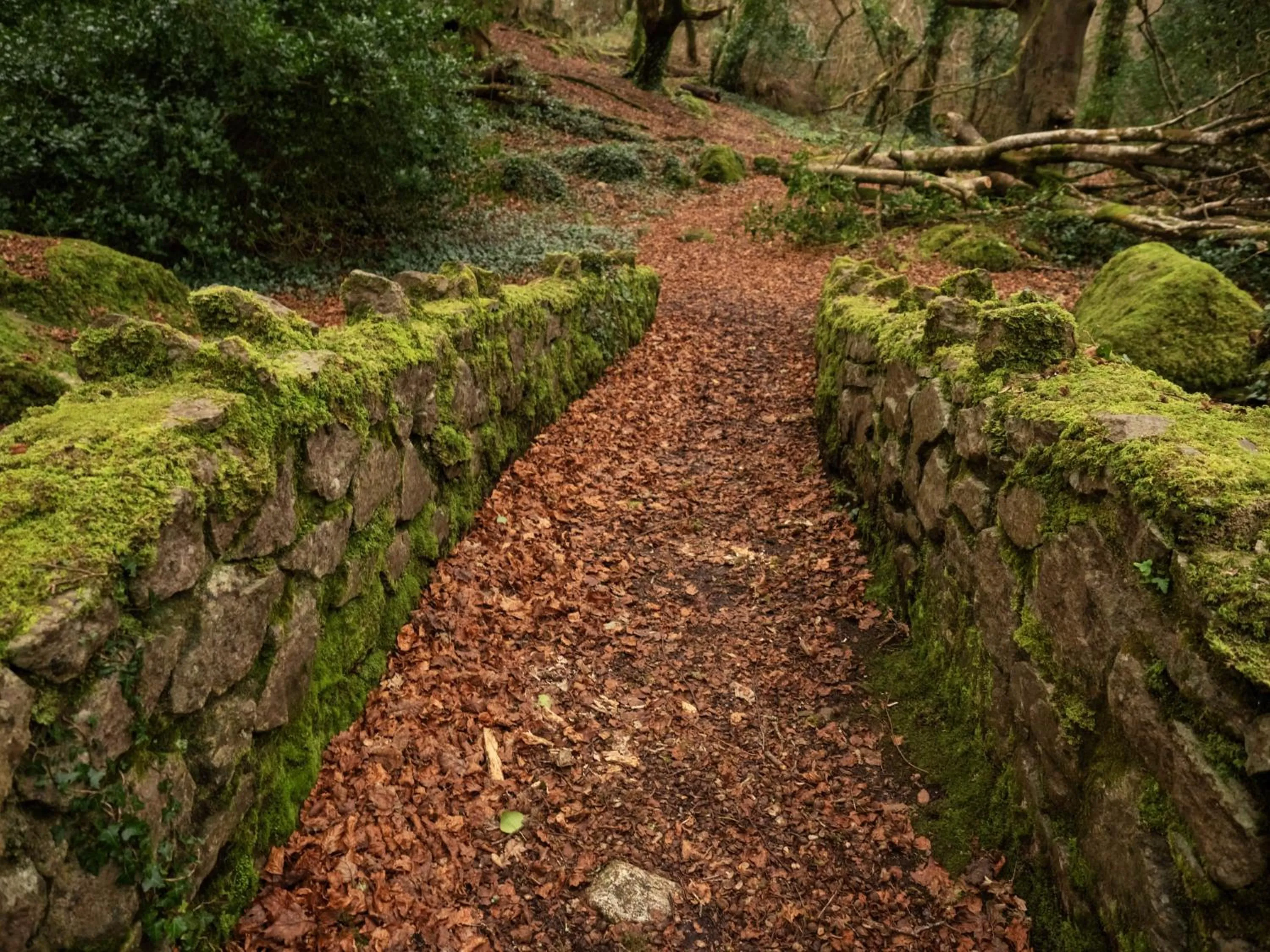 Other in The Twelve Hotel