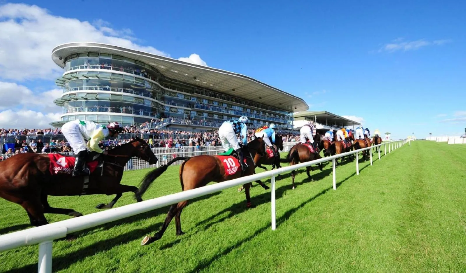 Horse-riding in The Twelve Hotel