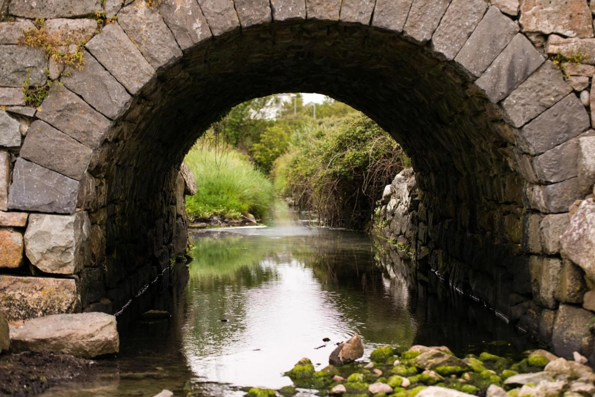 Natural landscape in The Twelve Hotel