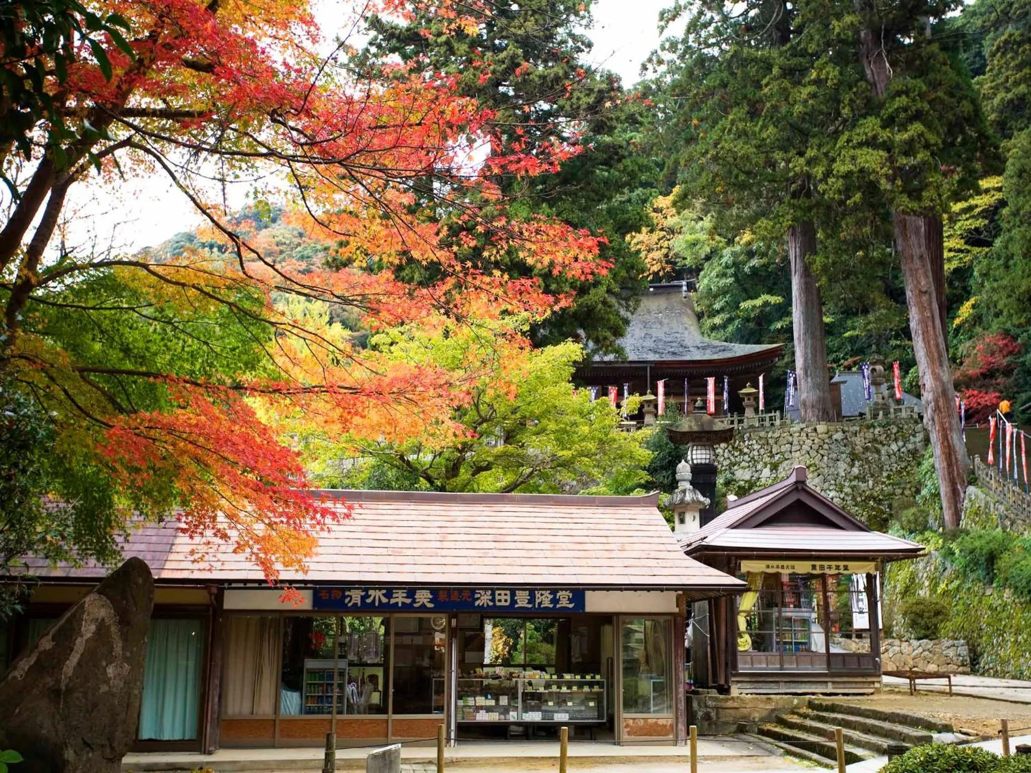 Autumn in Shokinkan
