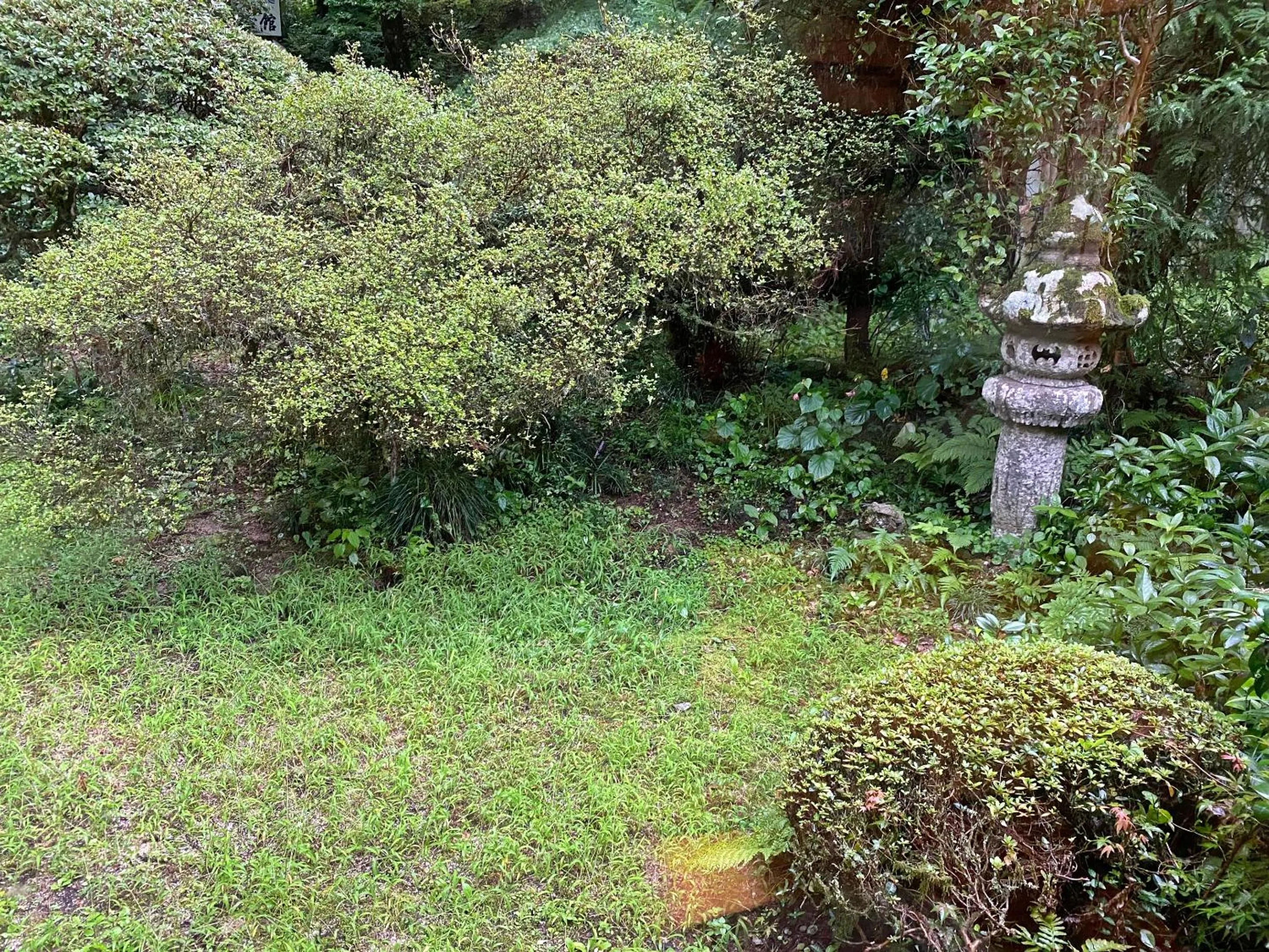 Garden view in Shokinkan