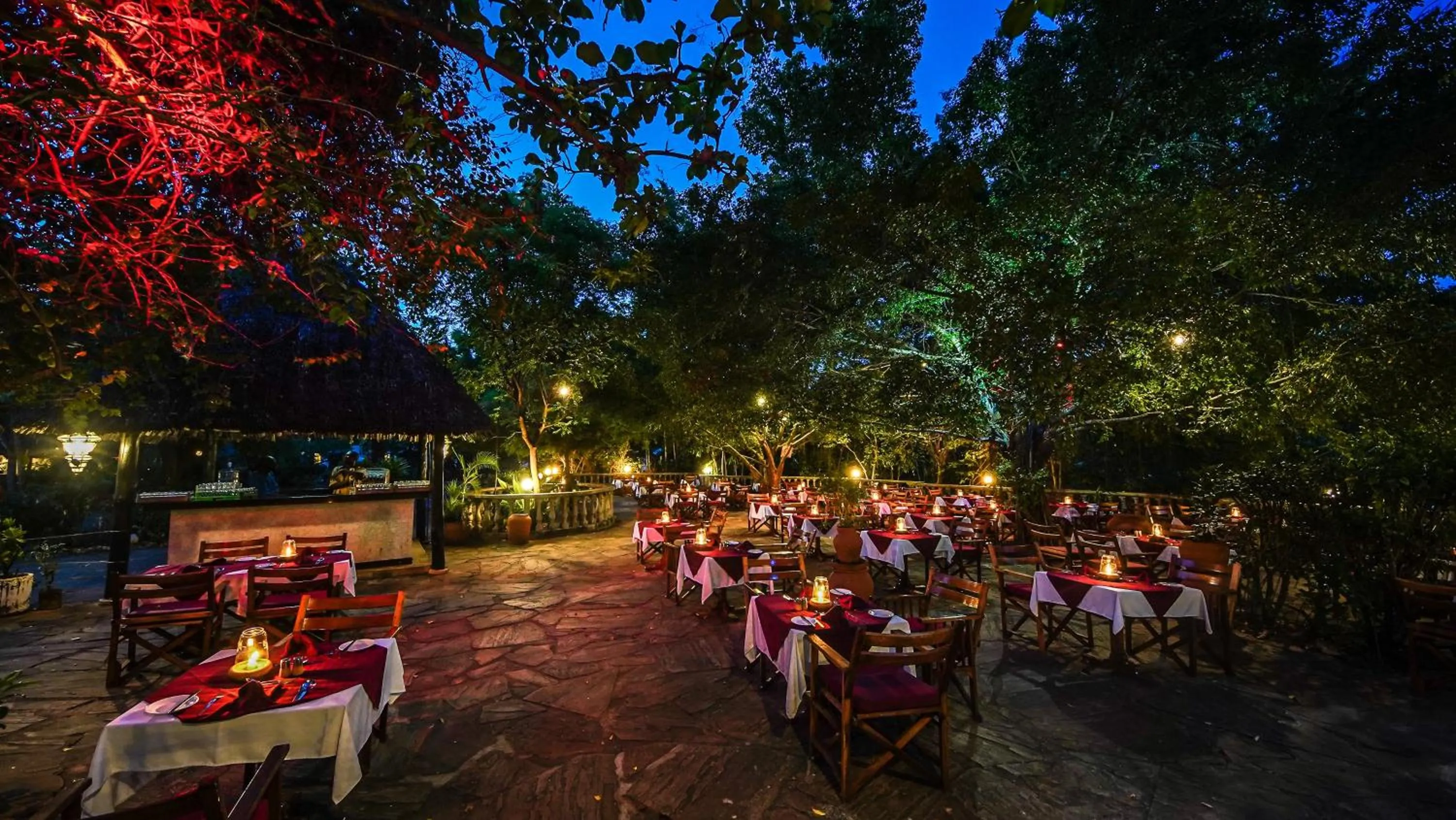 Dinner in Papillon Lagoon Reef Hotel