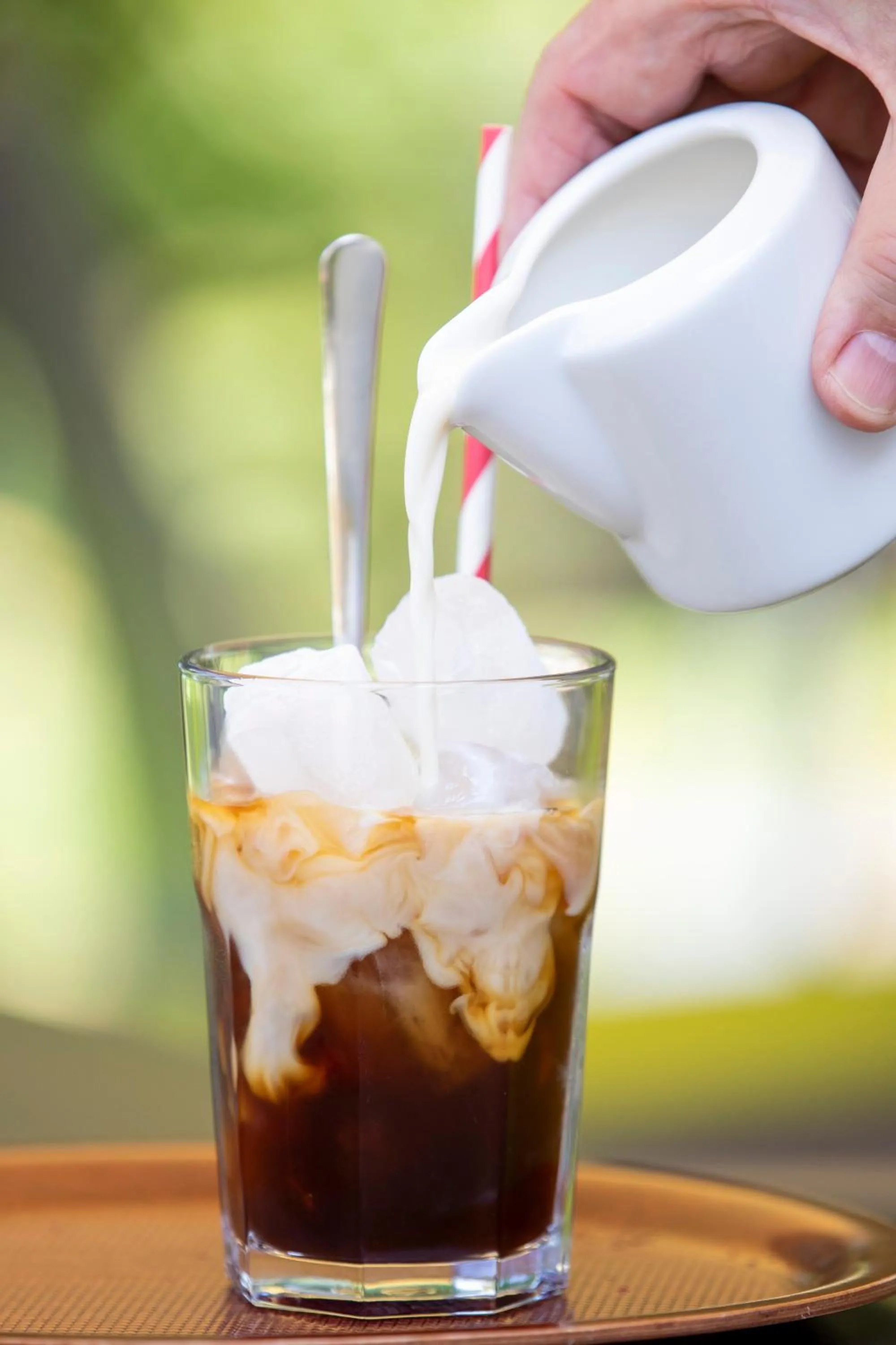 Restaurant/places to eat in Seehotel Grunewald