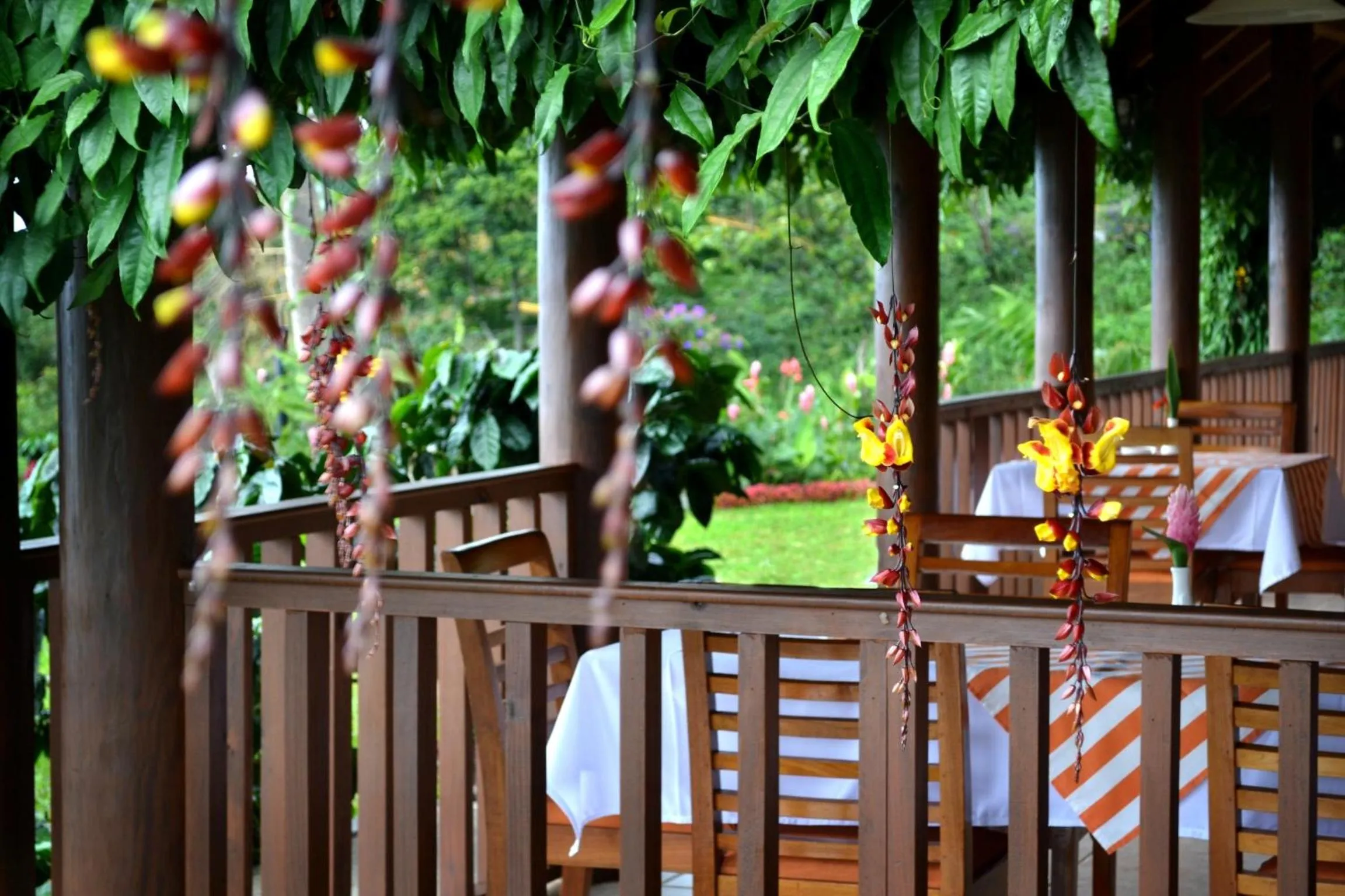 Finca Hamburgo La Ruta del Cafe