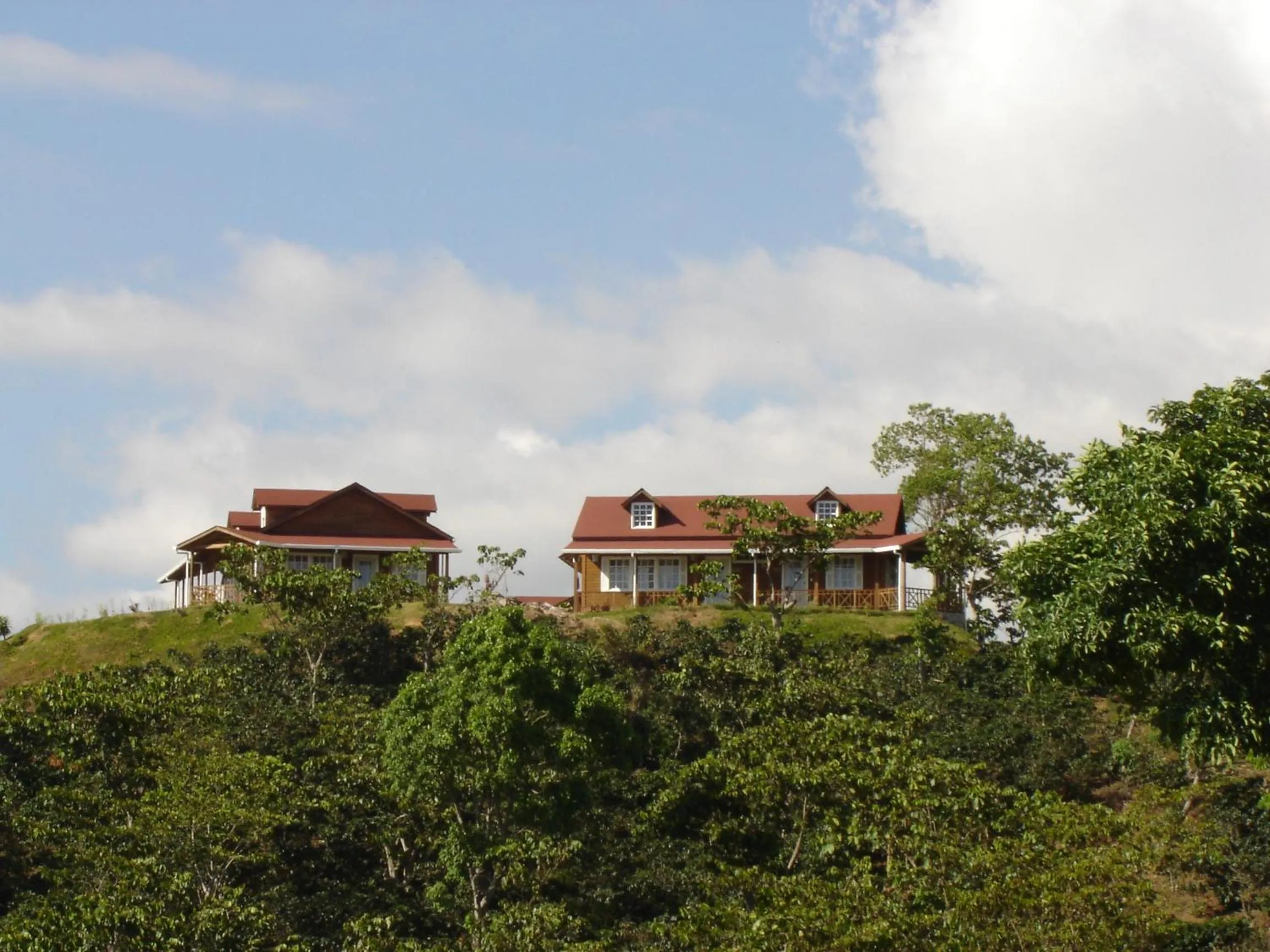 Finca Hamburgo La Ruta del Cafe