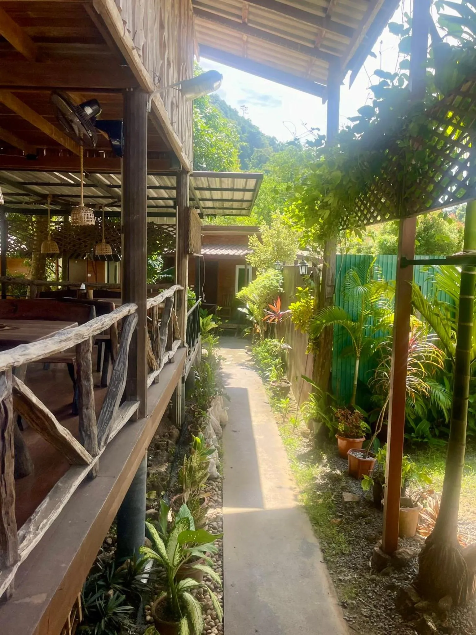 Jungle View Resort