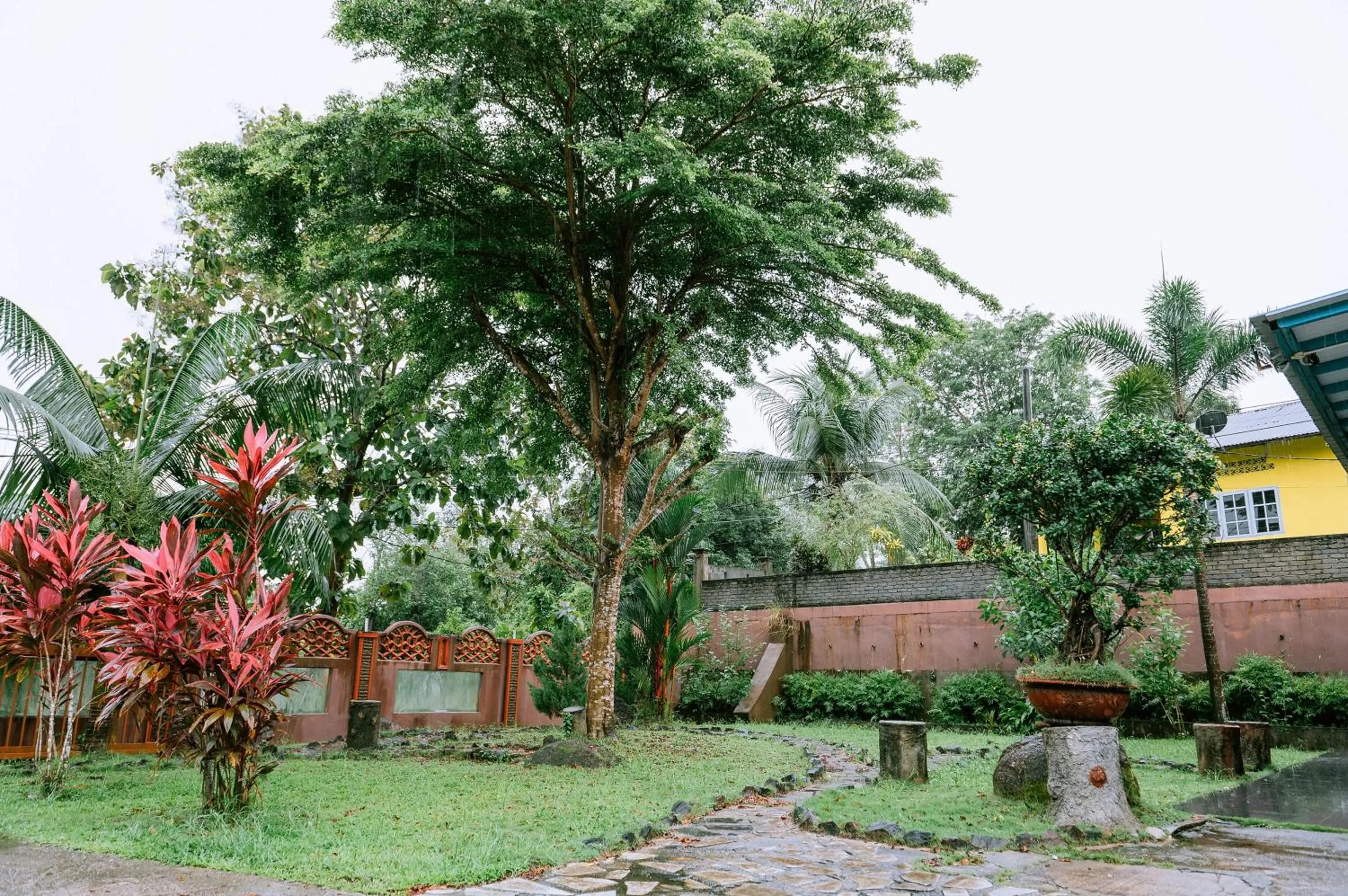 Garden in The Concept Hotel Express - formerly Chill Box Langkawi