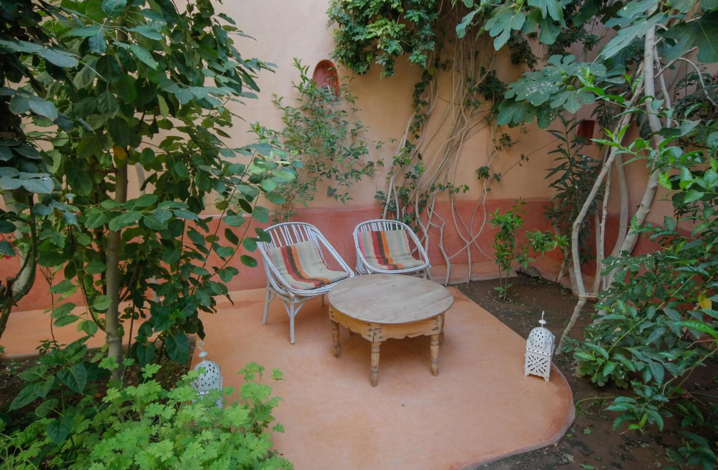 Garden in Maison d'hôtes Dar Farhana