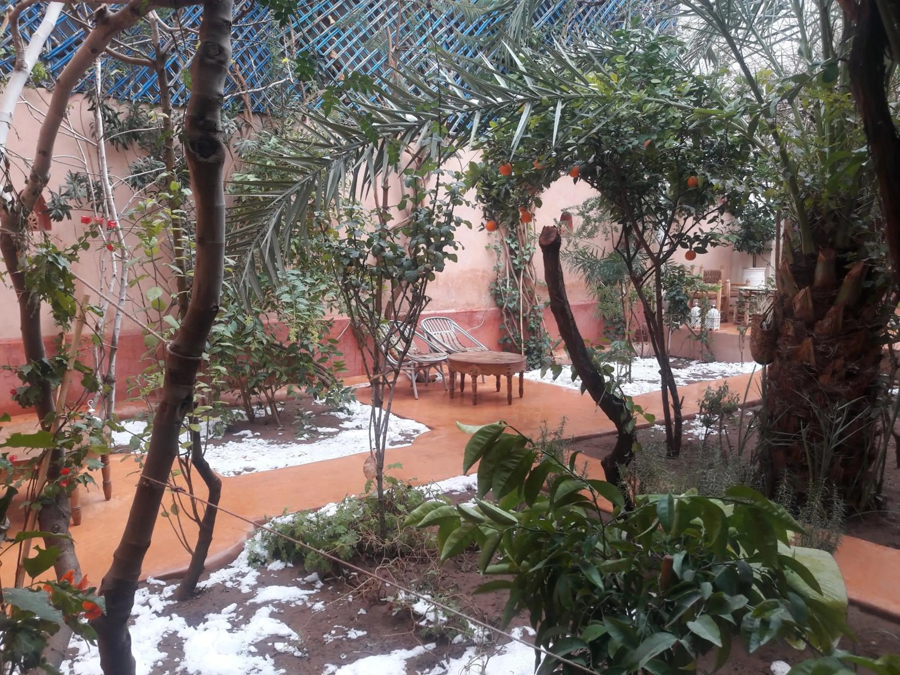 Property building in Maison d'hôtes Dar Farhana