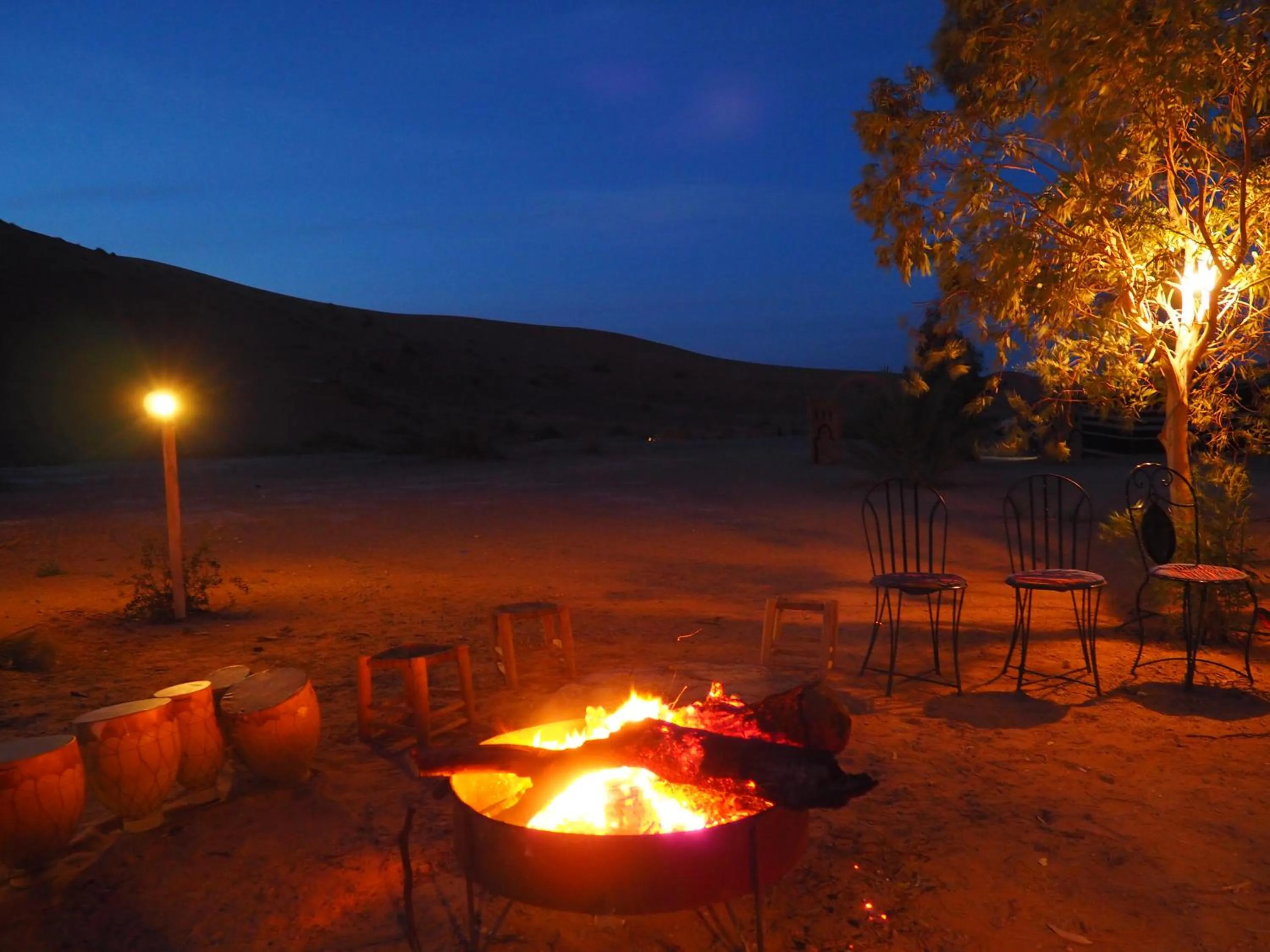 Activities in Maison d'hôtes Dar Farhana