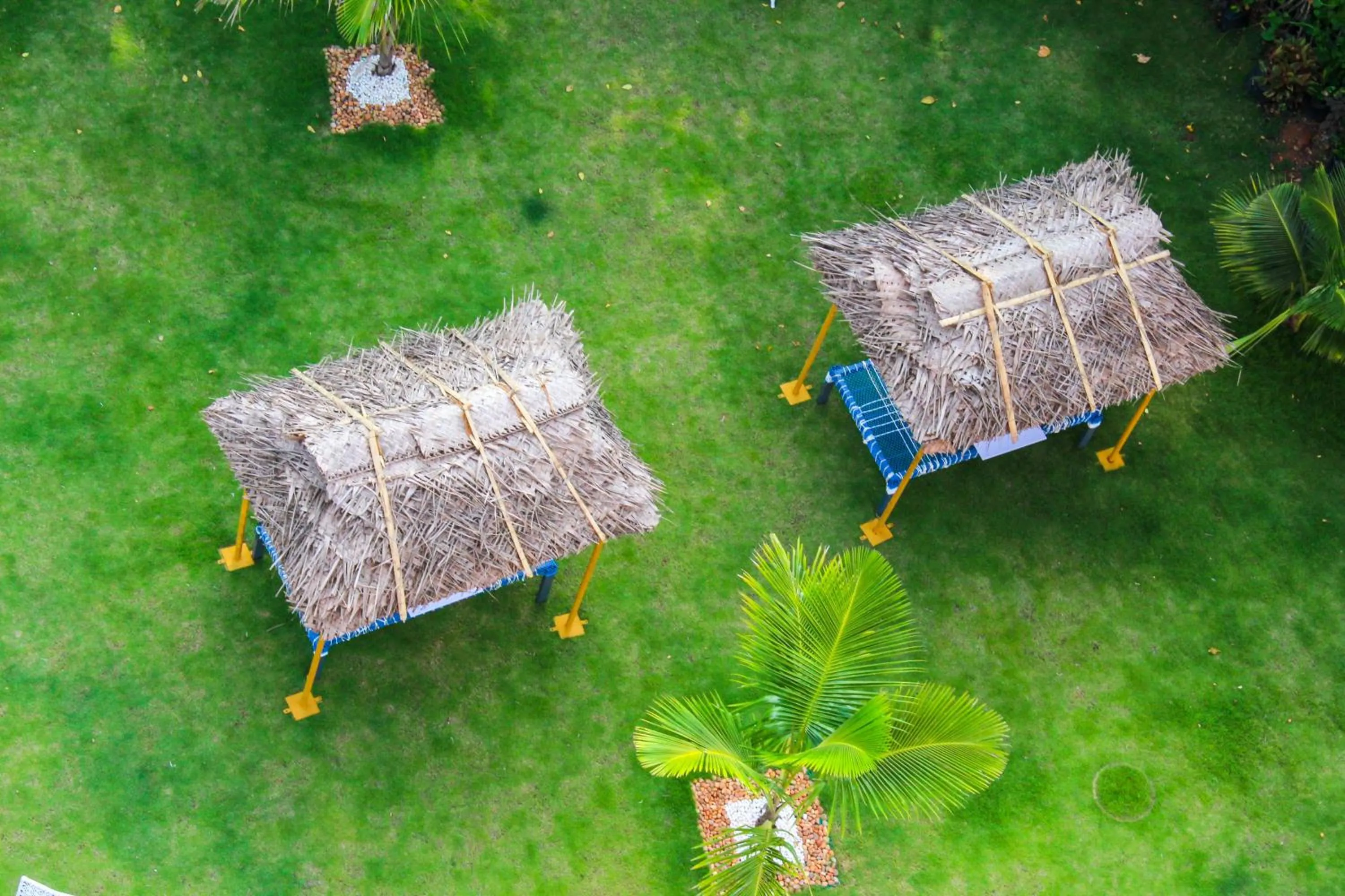 Area and facilities in JVK Park Hotel