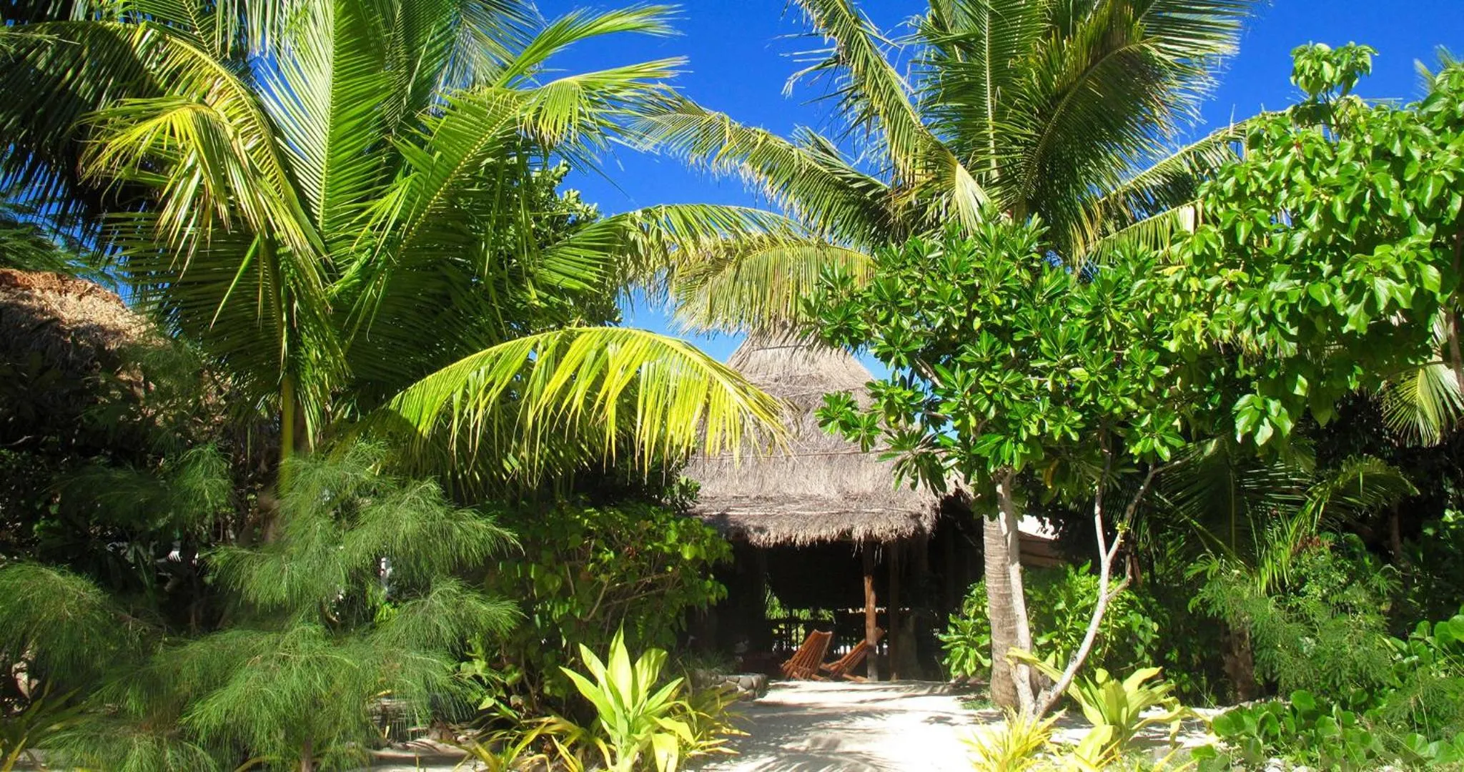 Day in Navutu Stars Resort