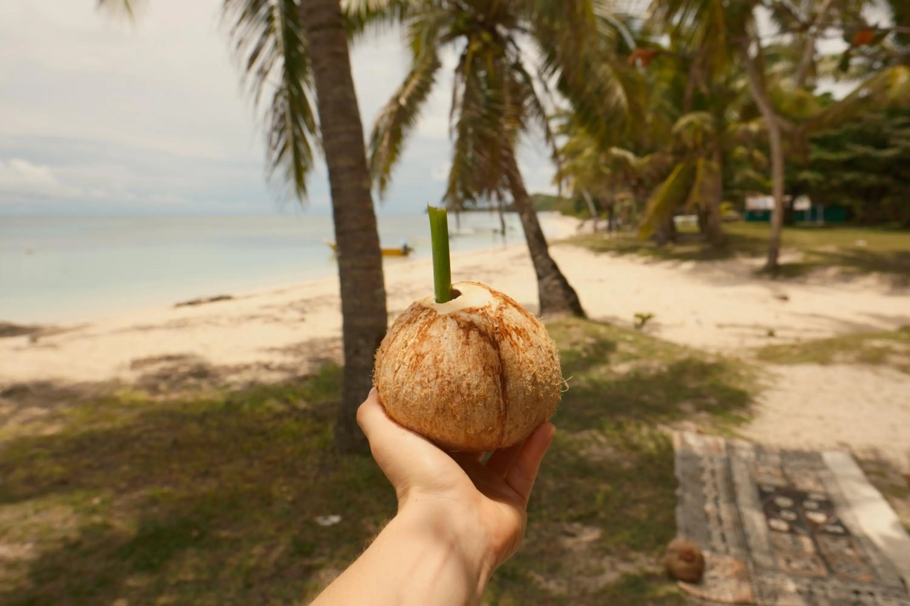 Natural landscape in Navutu Stars Resort