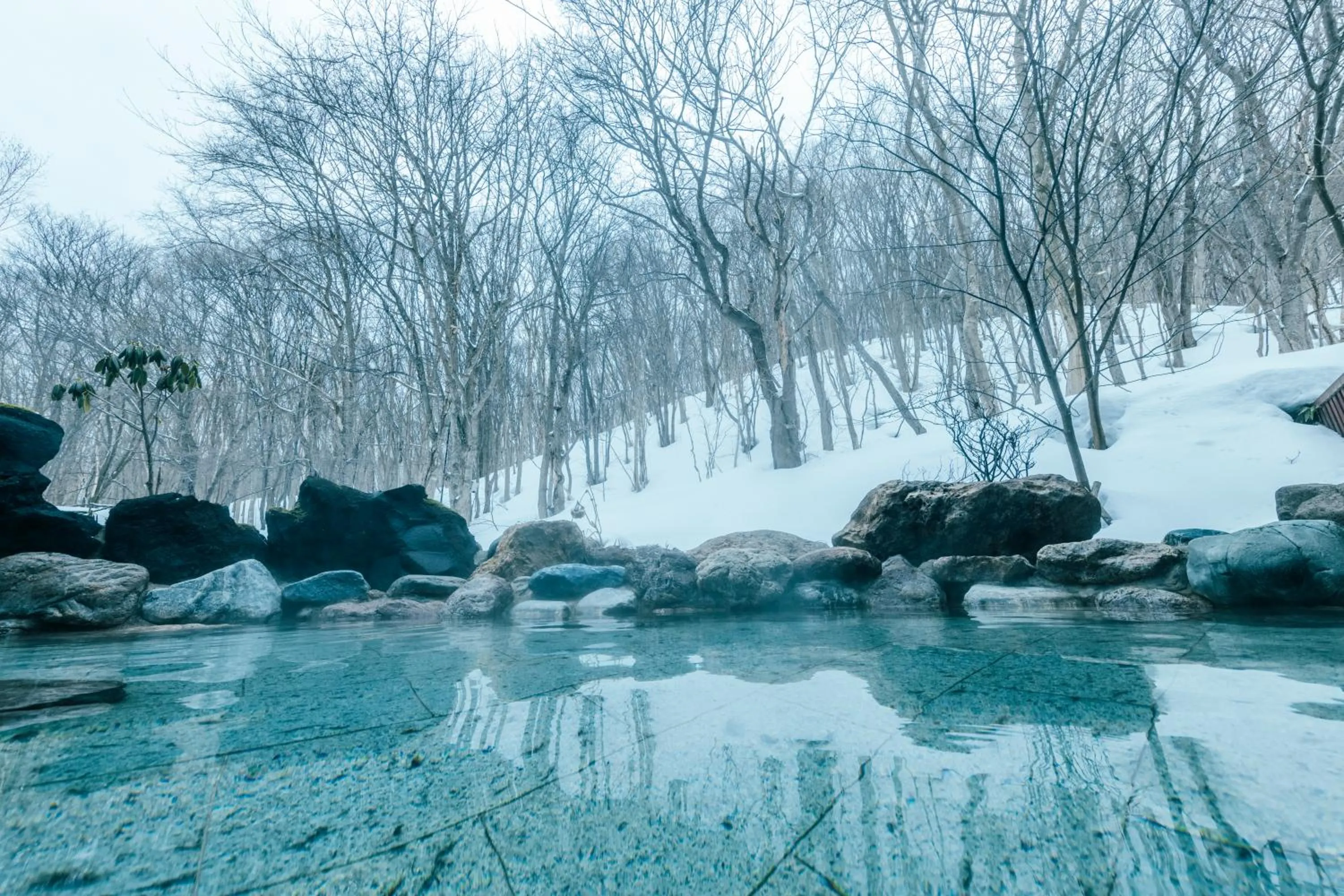 Natural landscape in Otaru Asari Classe Hotel