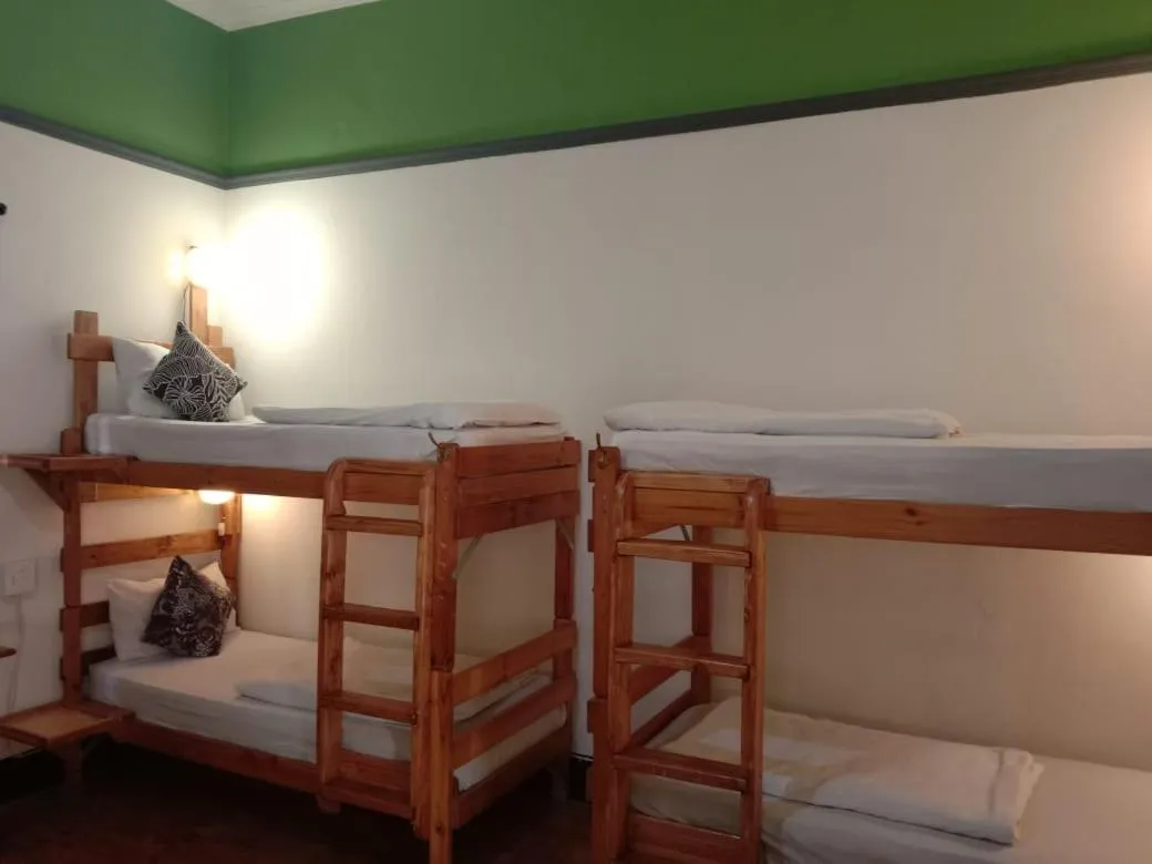 bunk bed, Bed in Zebra Crossing Backpacker