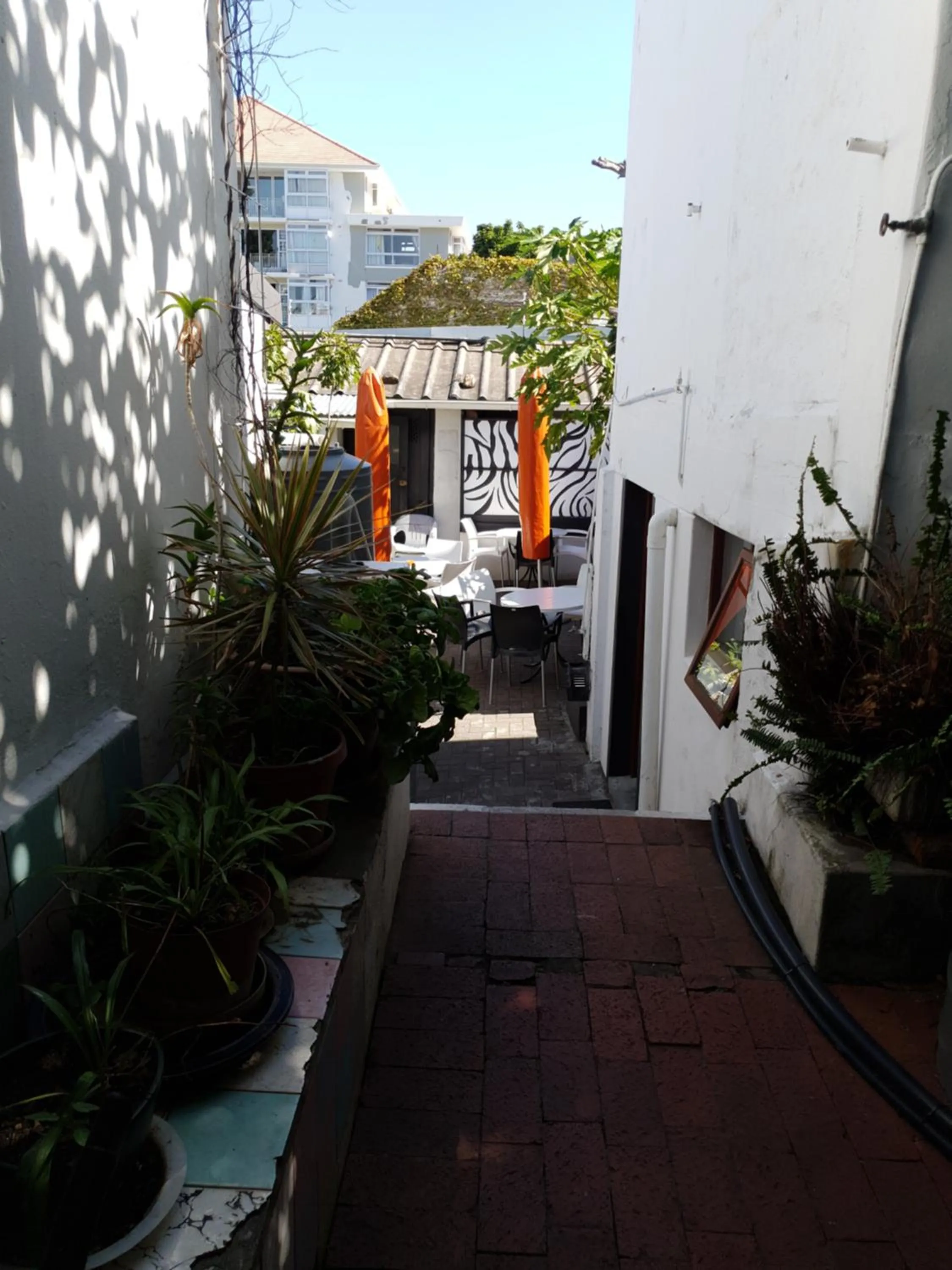 Balcony/Terrace in Zebra Crossing Backpacker