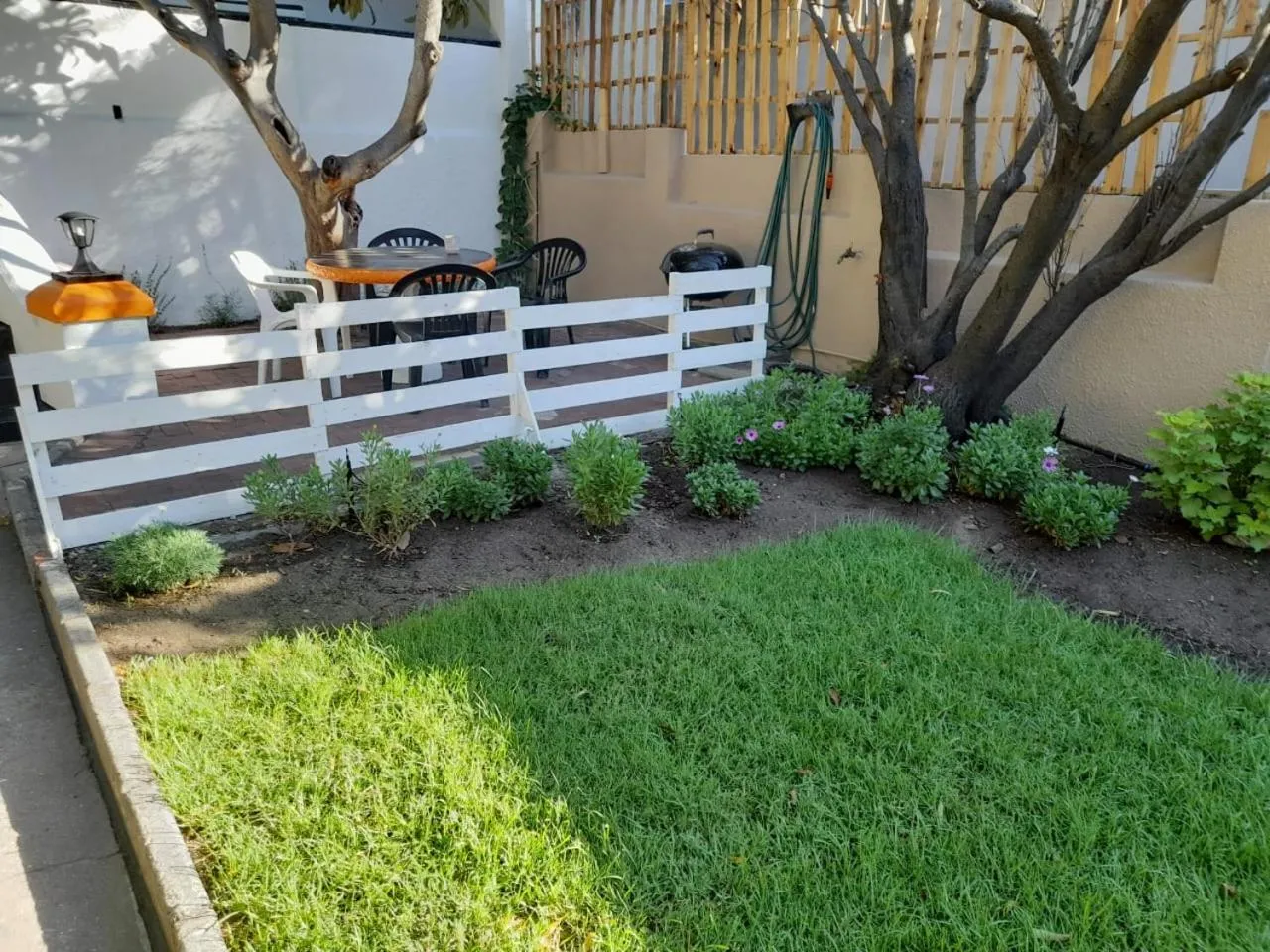 Garden in Zebra Crossing Backpacker