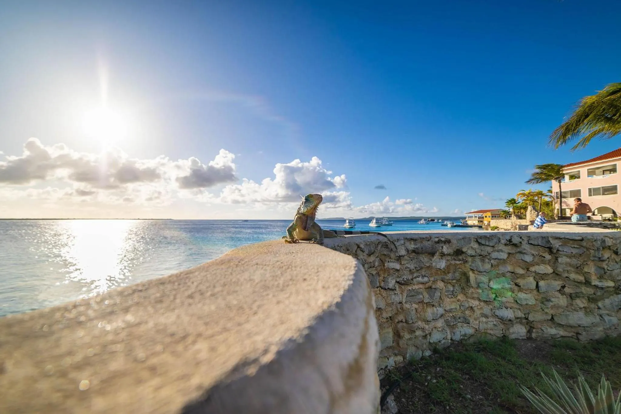 Property building in Sand Dollar Bonaire