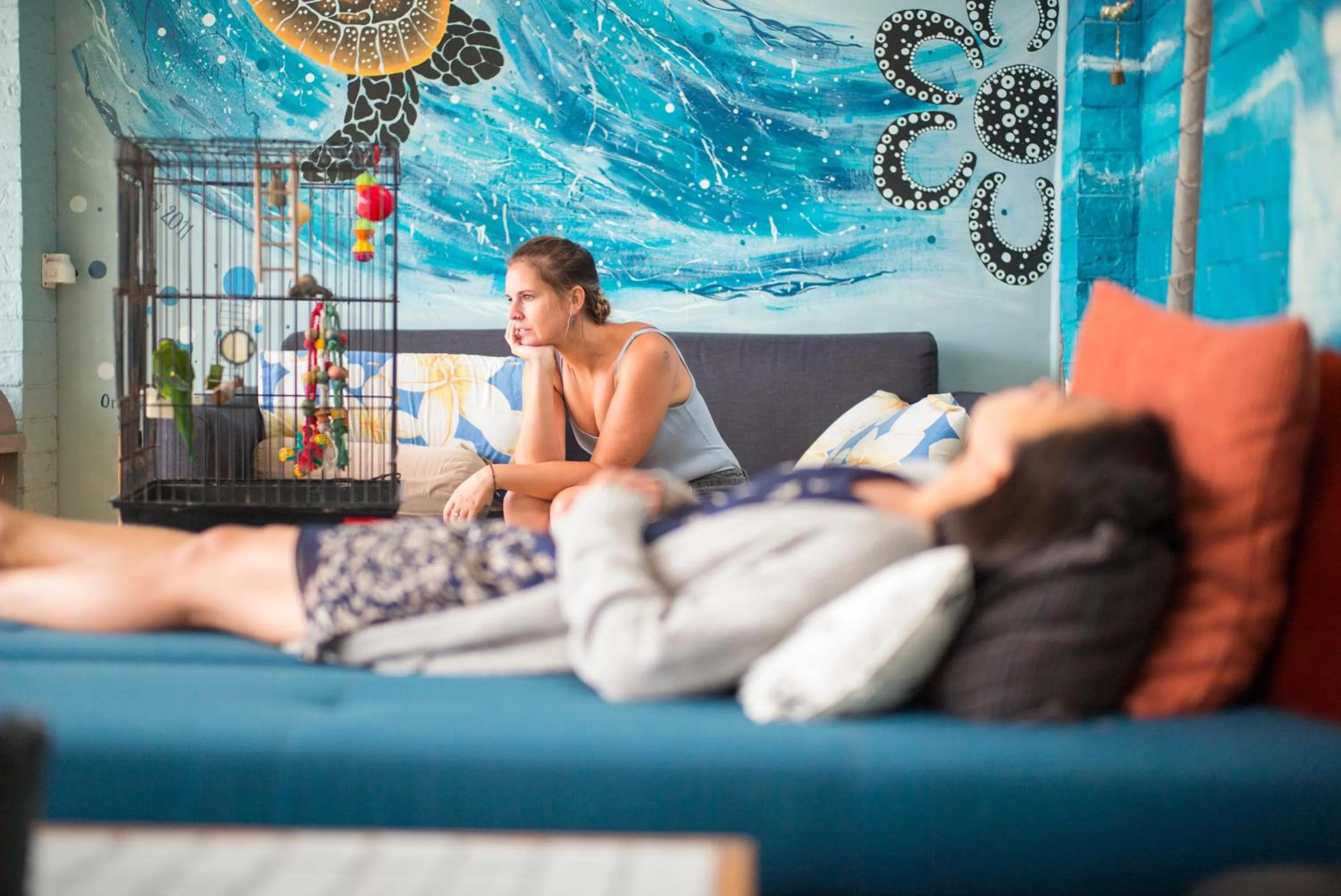 Communal lounge/ TV room, Bed in Ozzie Pozzie Backpackers