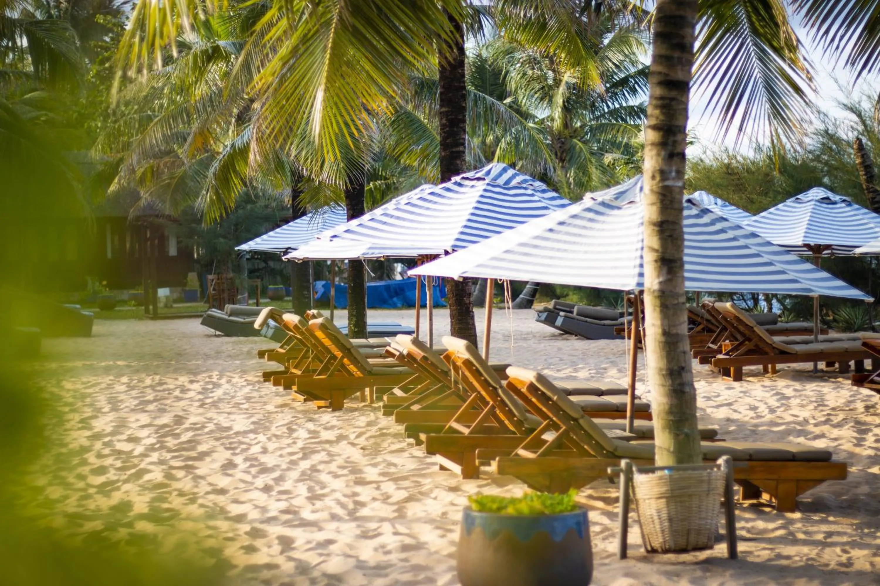 Natural landscape in Cassia Cottage Resort and Spa