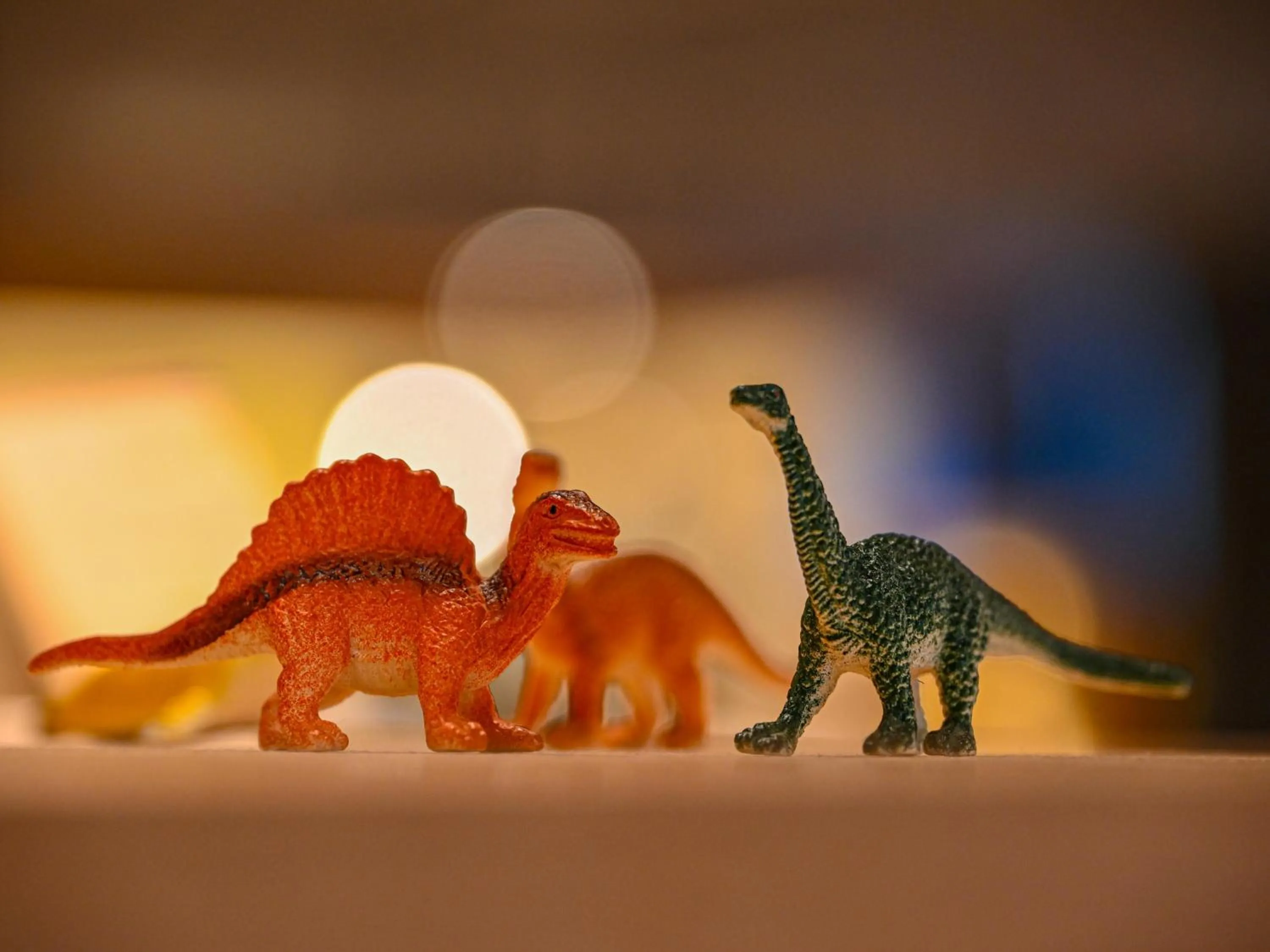 Shopping Area in Hokuriku Fukui Awara Onsen Mimatsu