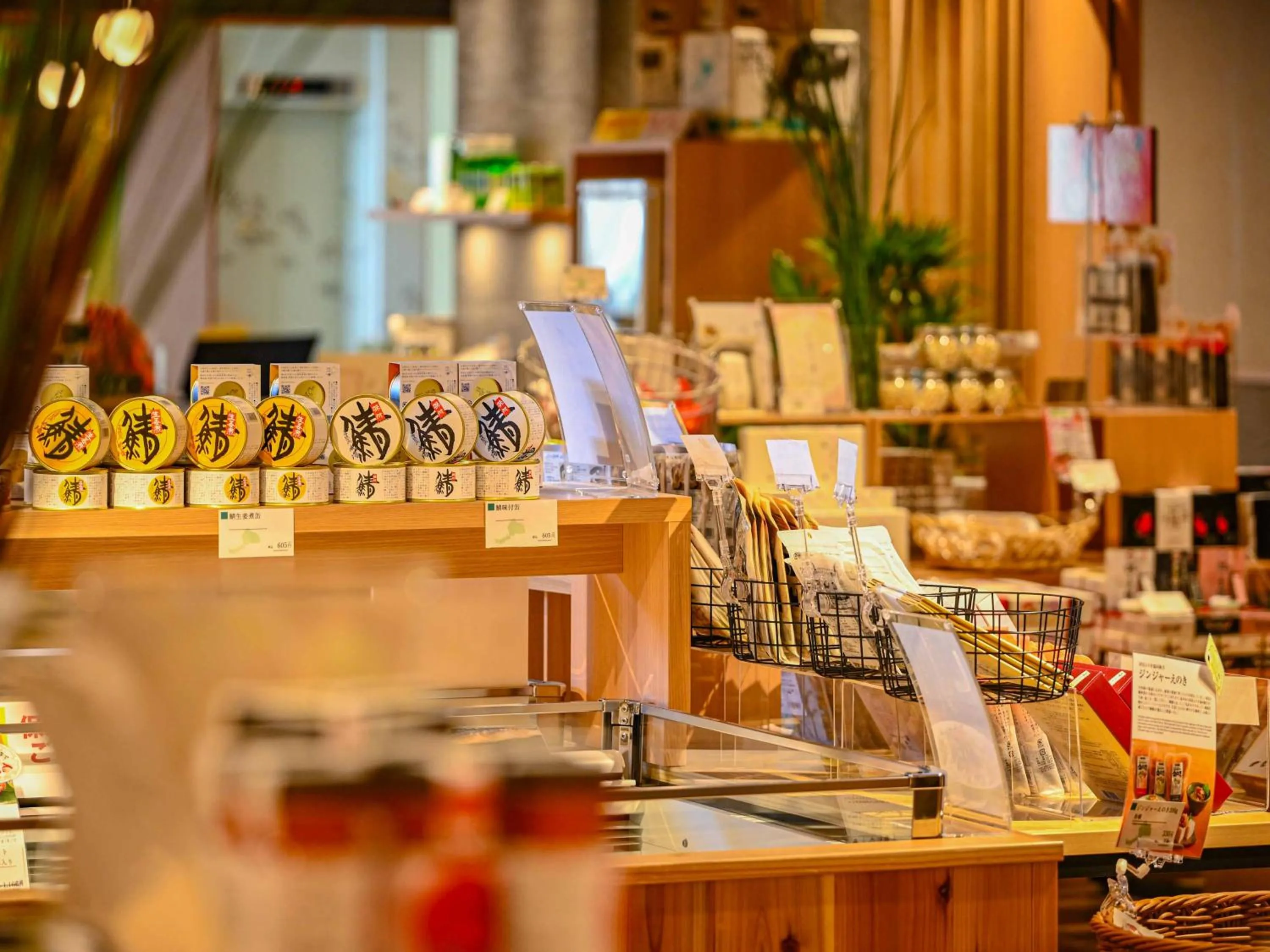 Shopping Area in Hokuriku Fukui Awara Onsen Mimatsu