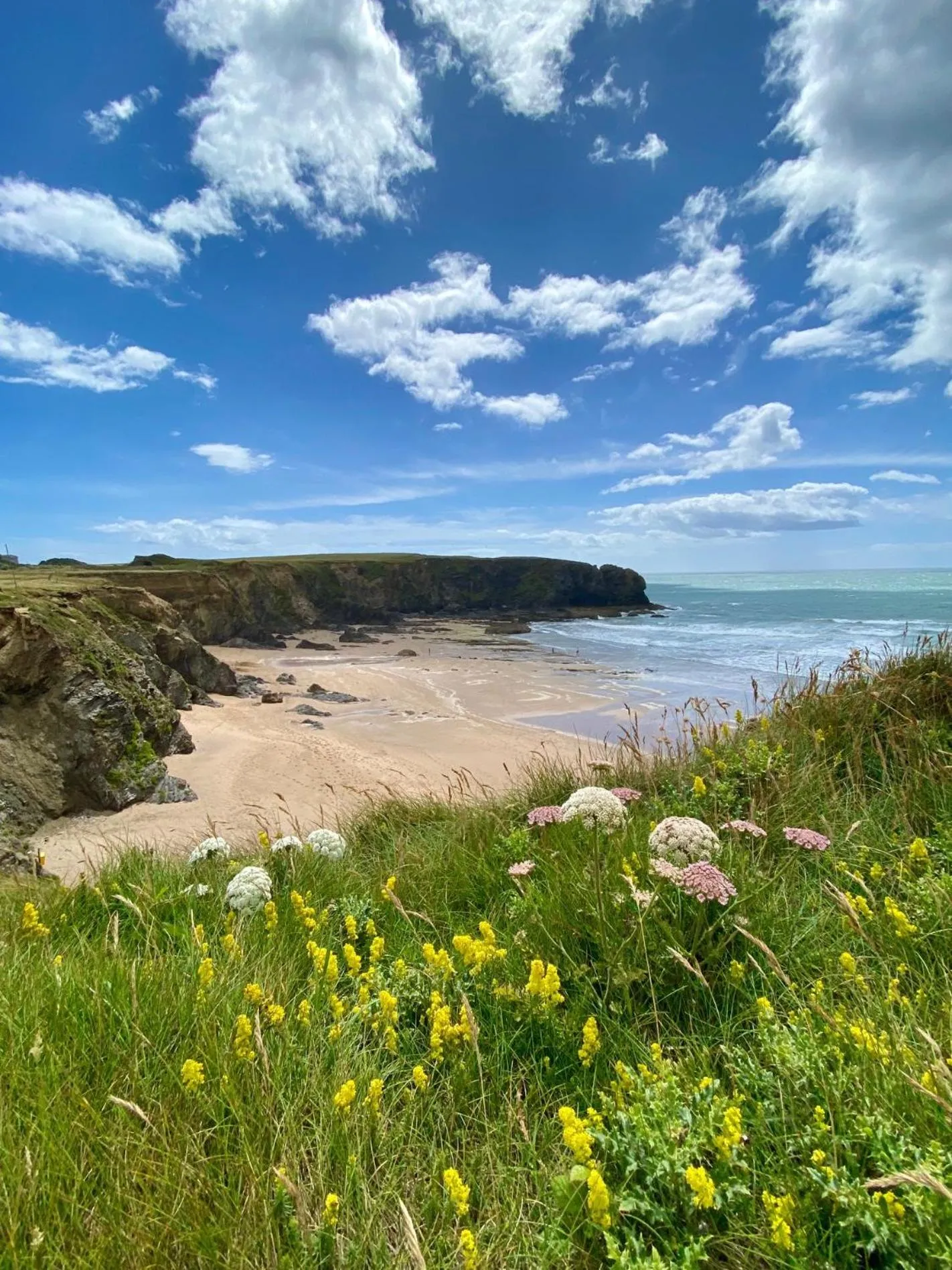 Natural landscape in Whitford House Hotel