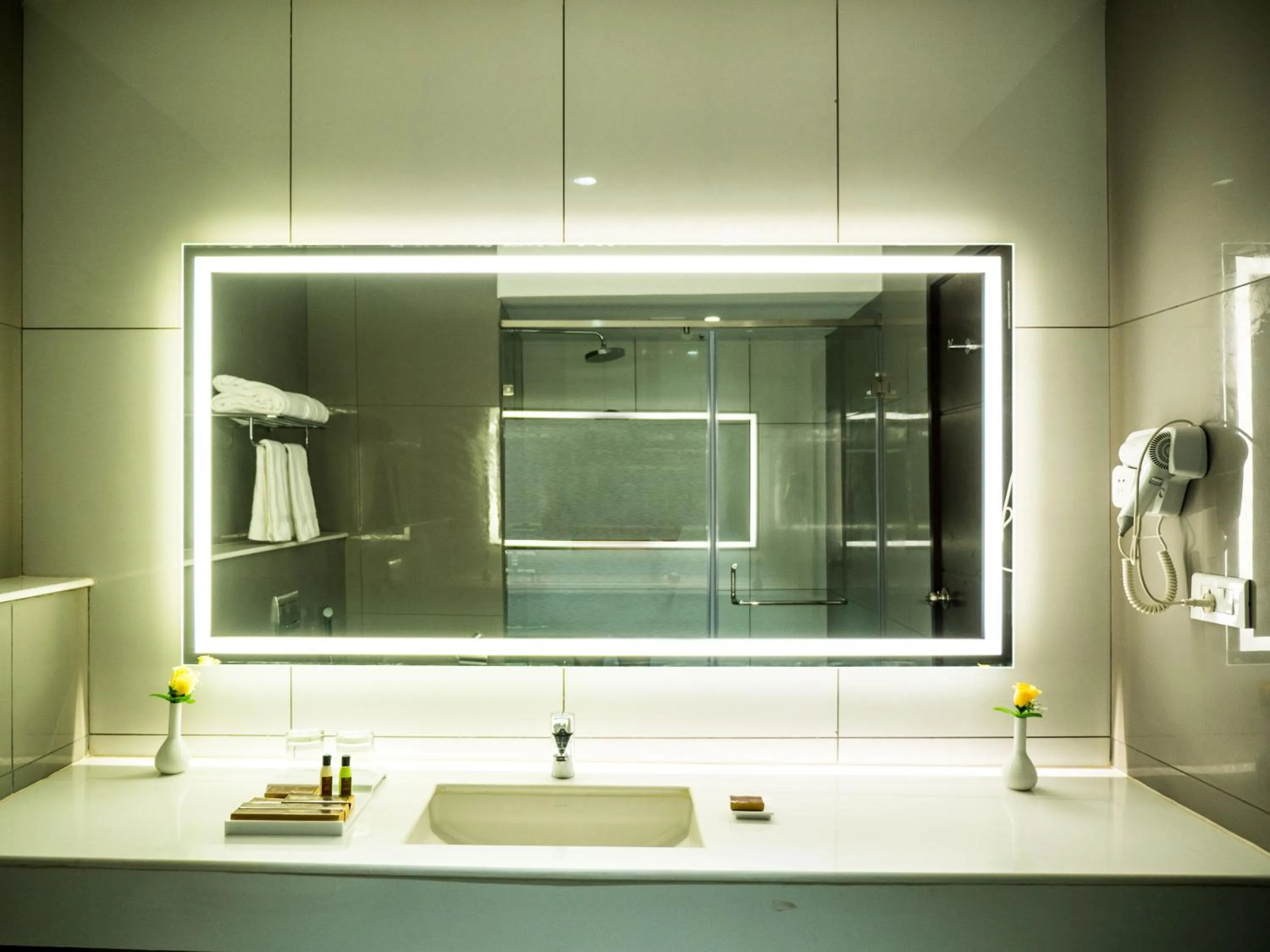 Bathroom in Grand Ashok